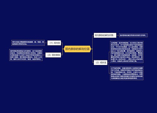 颈内静脉的解剖位置