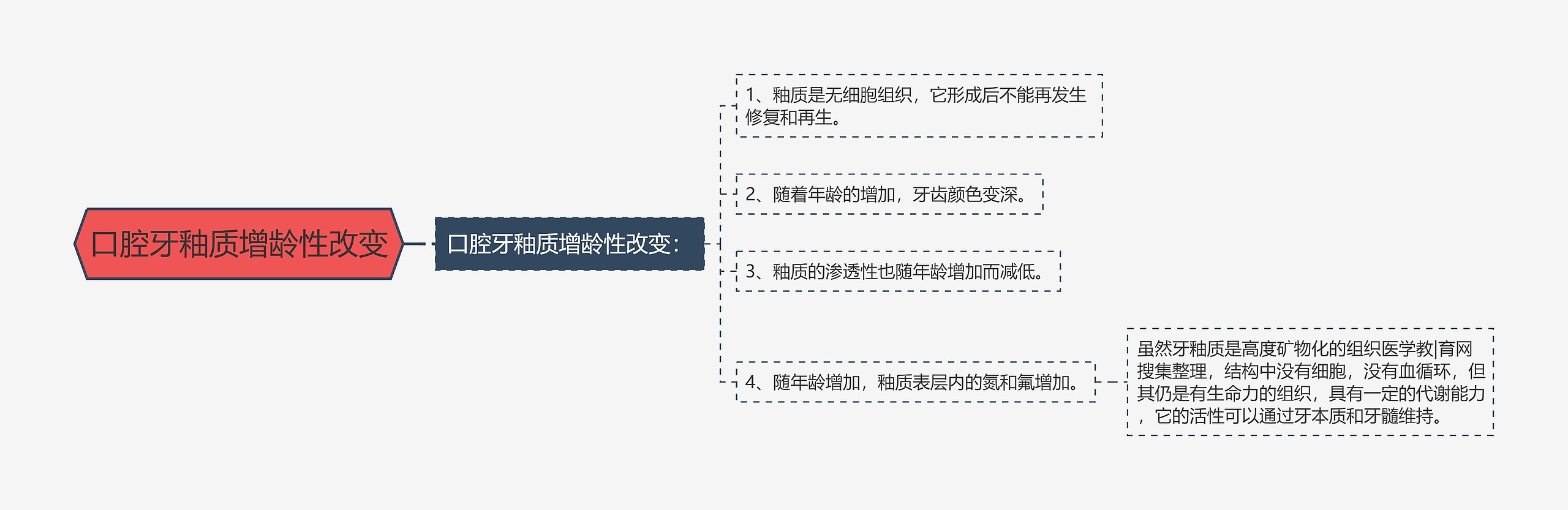 口腔牙釉质增龄性改变思维导图