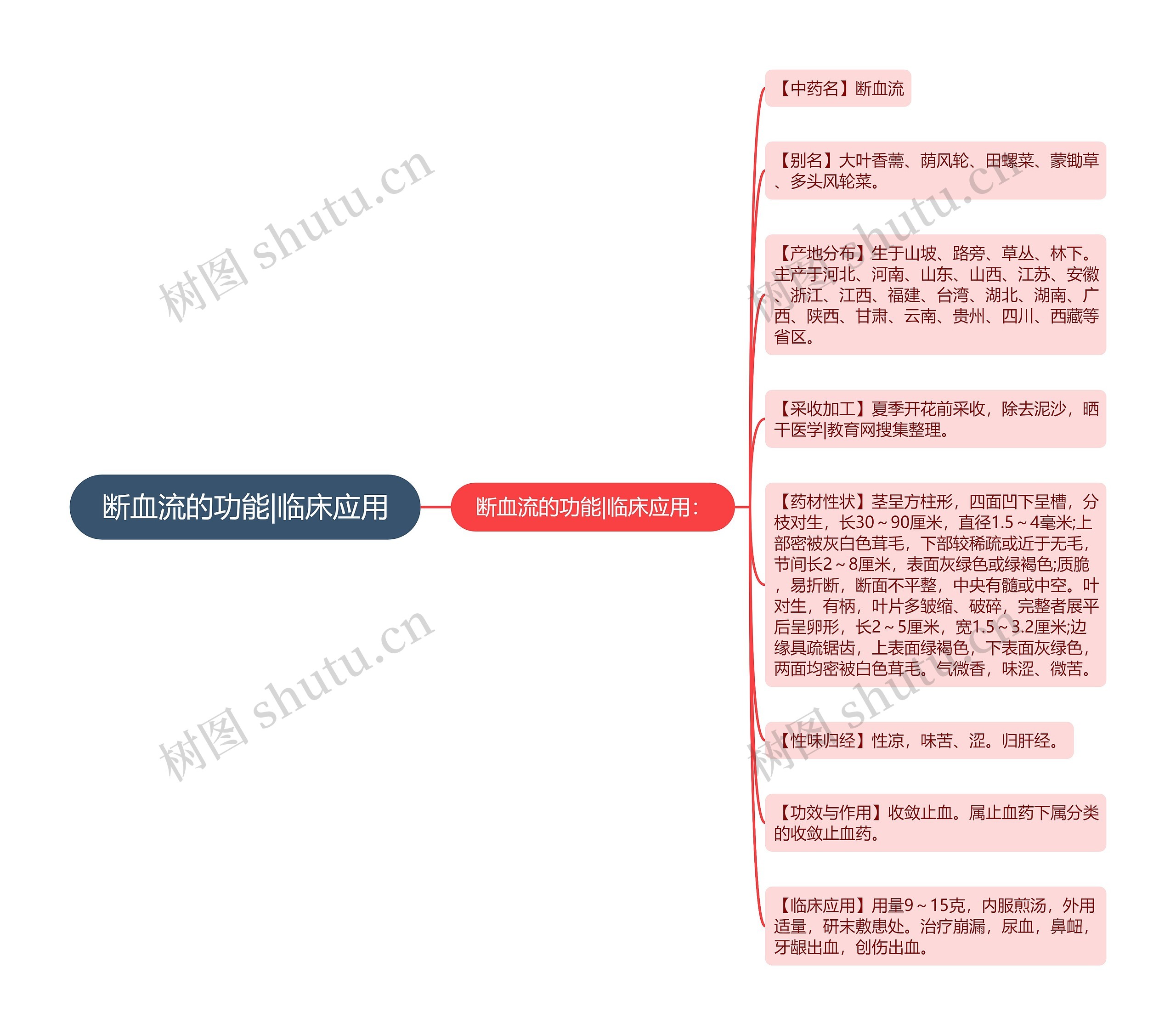 断血流的功能|临床应用思维导图