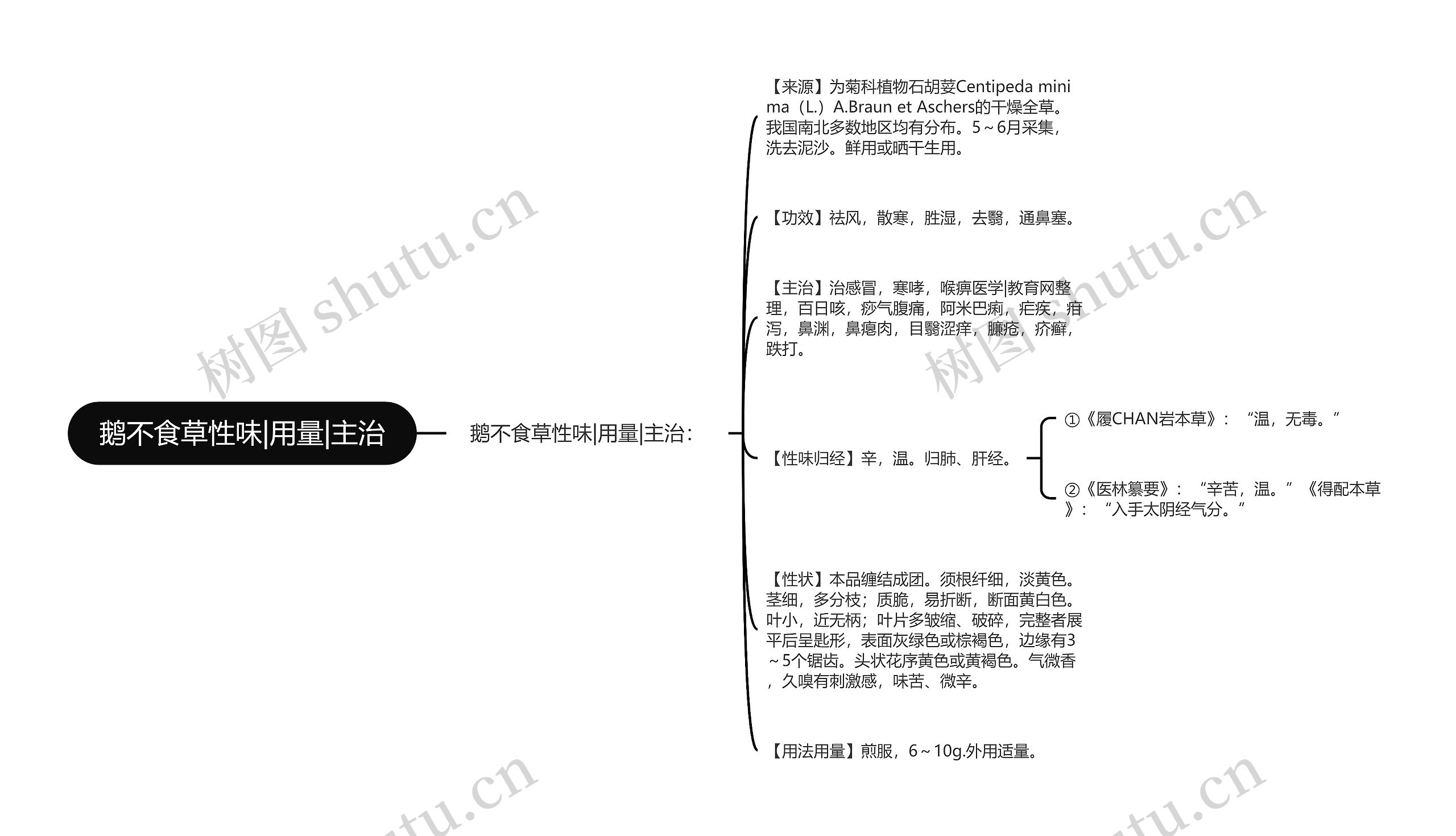 鹅不食草性味|用量|主治