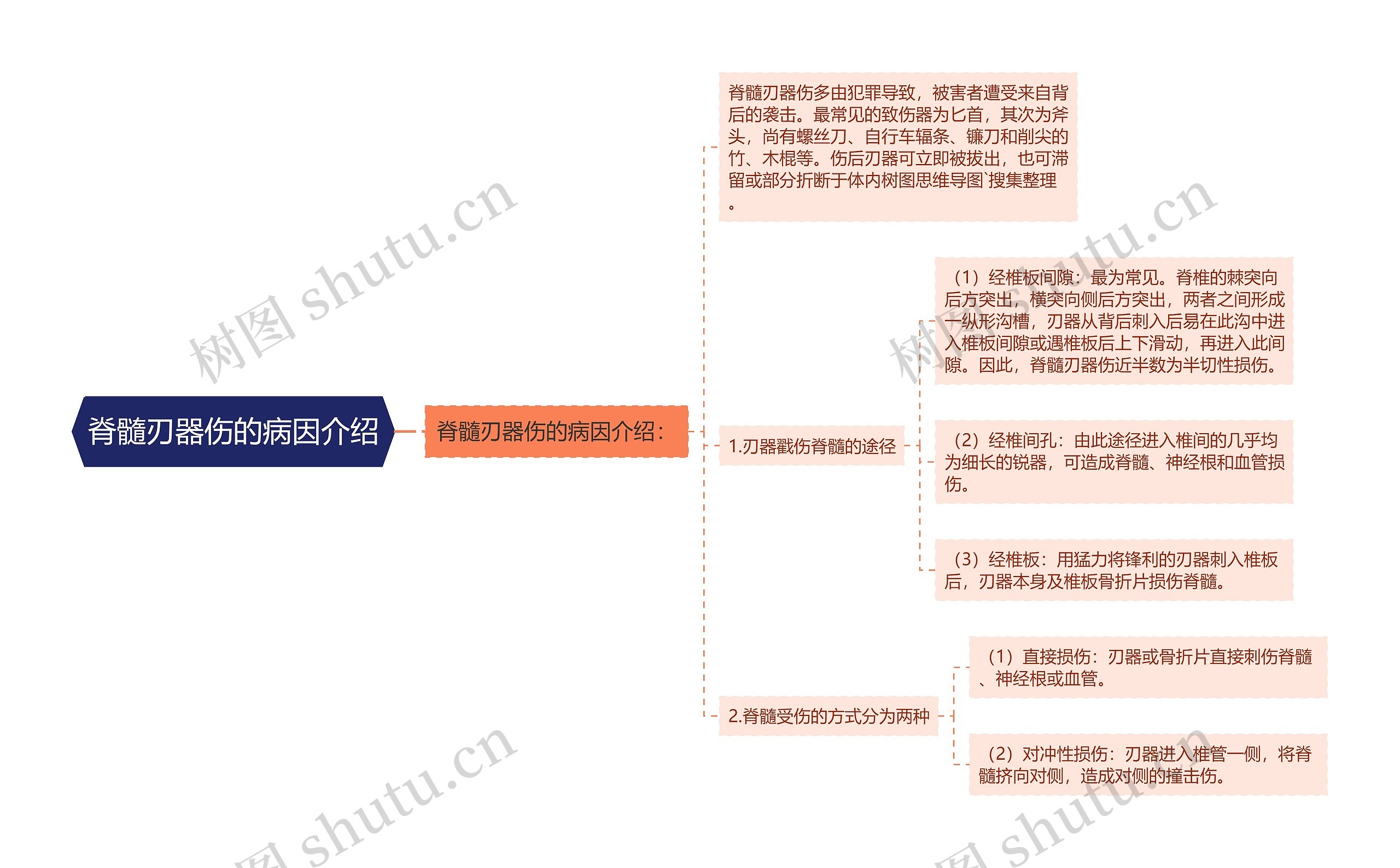 脊髓刃器伤的病因介绍思维导图