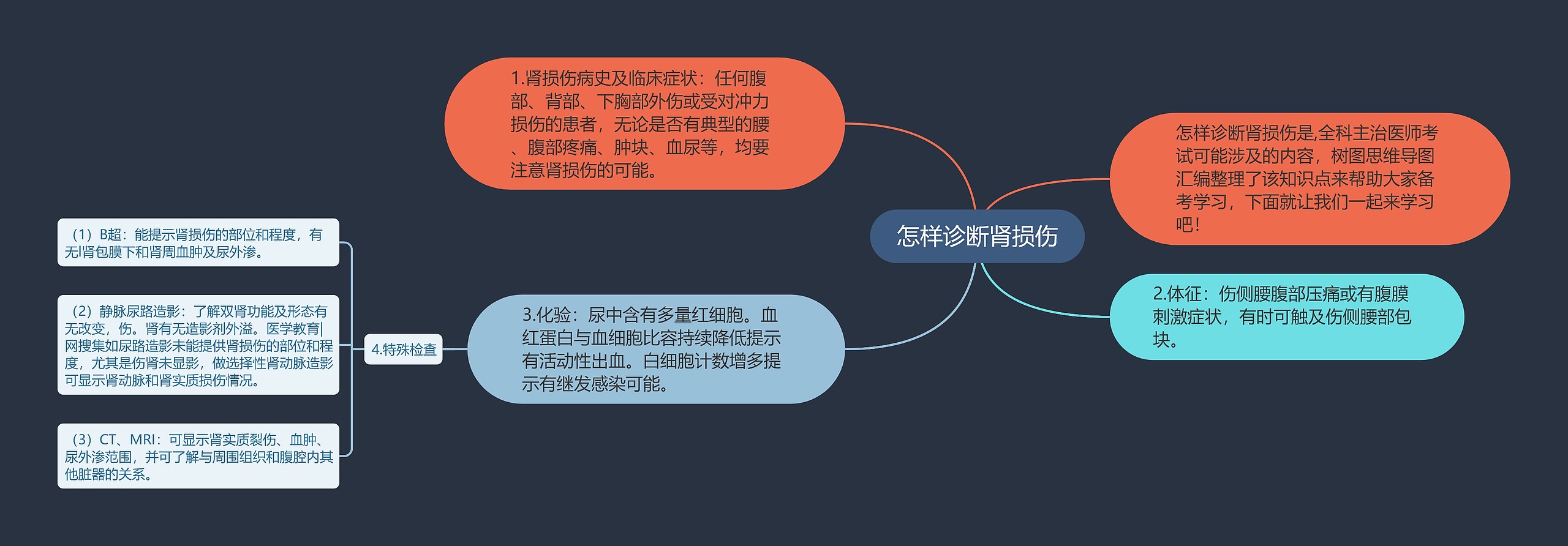 怎样诊断肾损伤思维导图