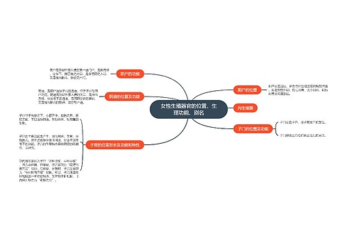 女性生殖器官的位置、生理功能、别名