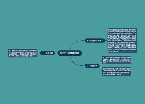 解剖分离基本内容