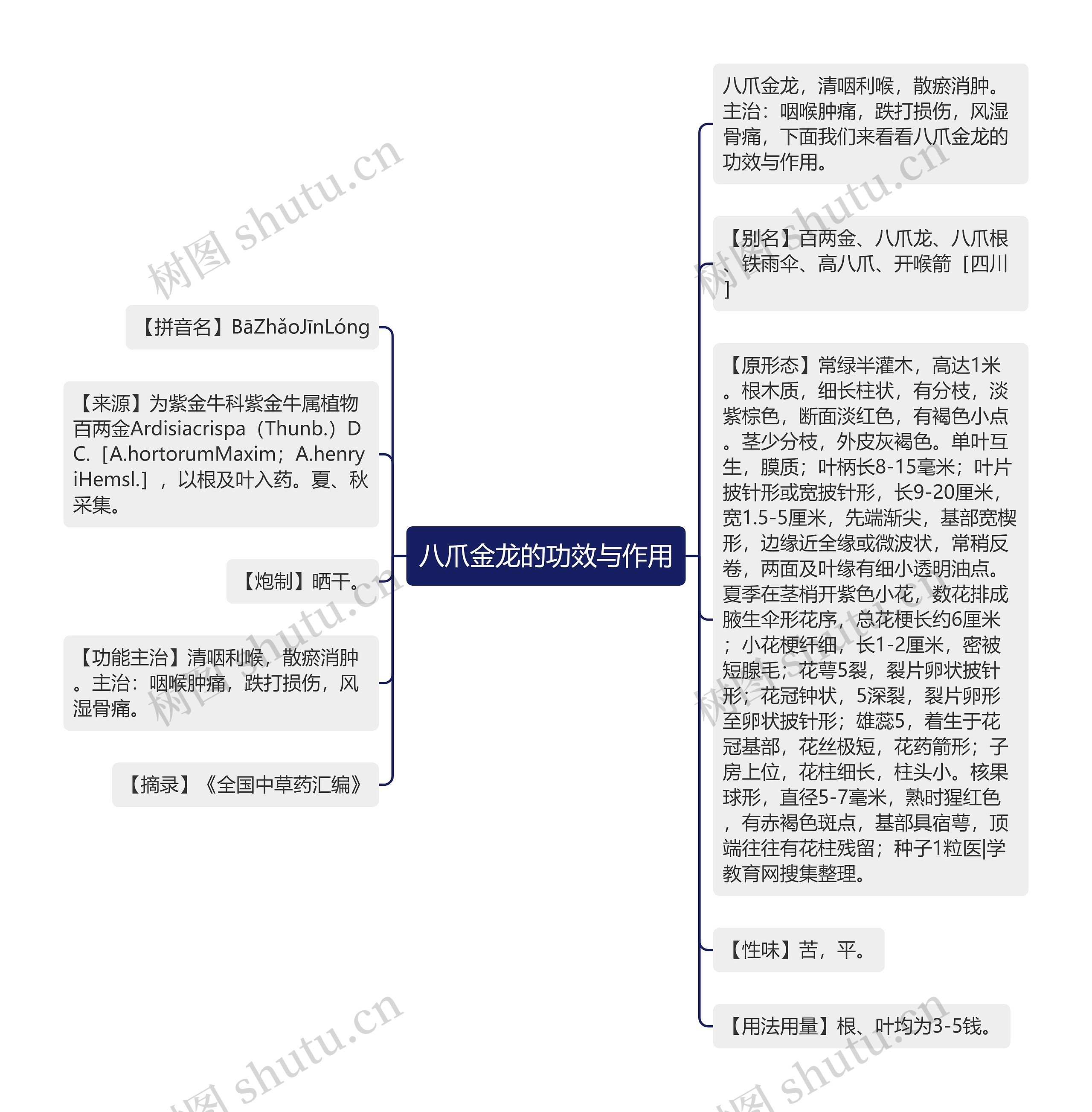 八爪金龙的功效与作用思维导图