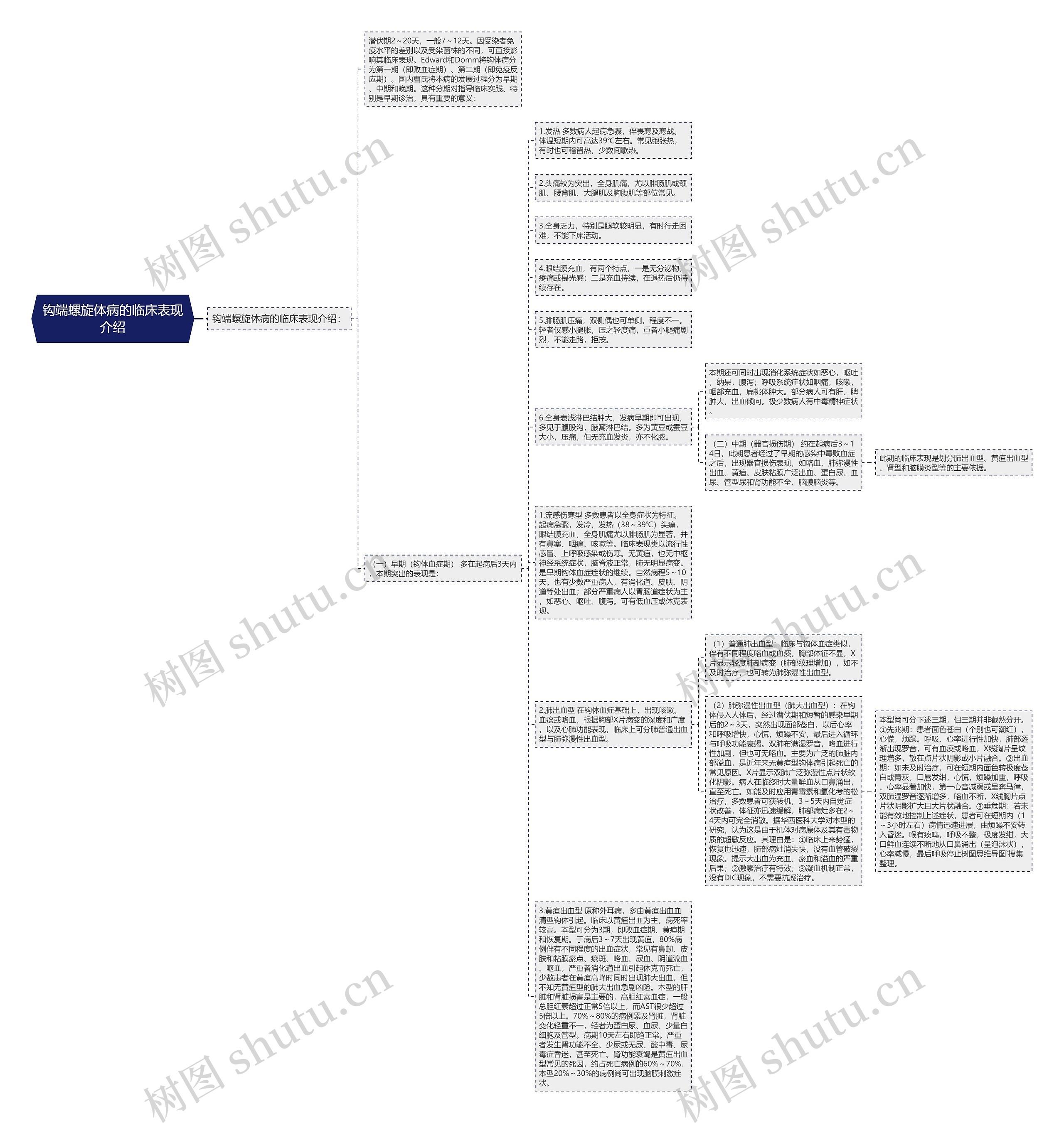 钩端螺旋体病的临床表现介绍思维导图