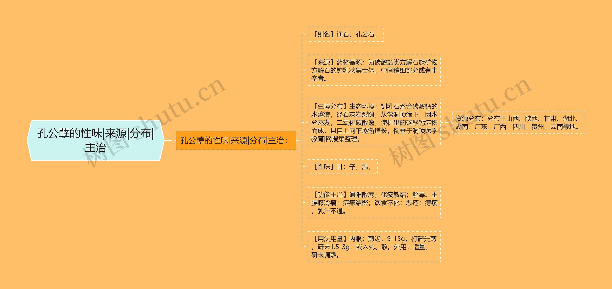 孔公孽的性味|来源|分布|主治思维导图