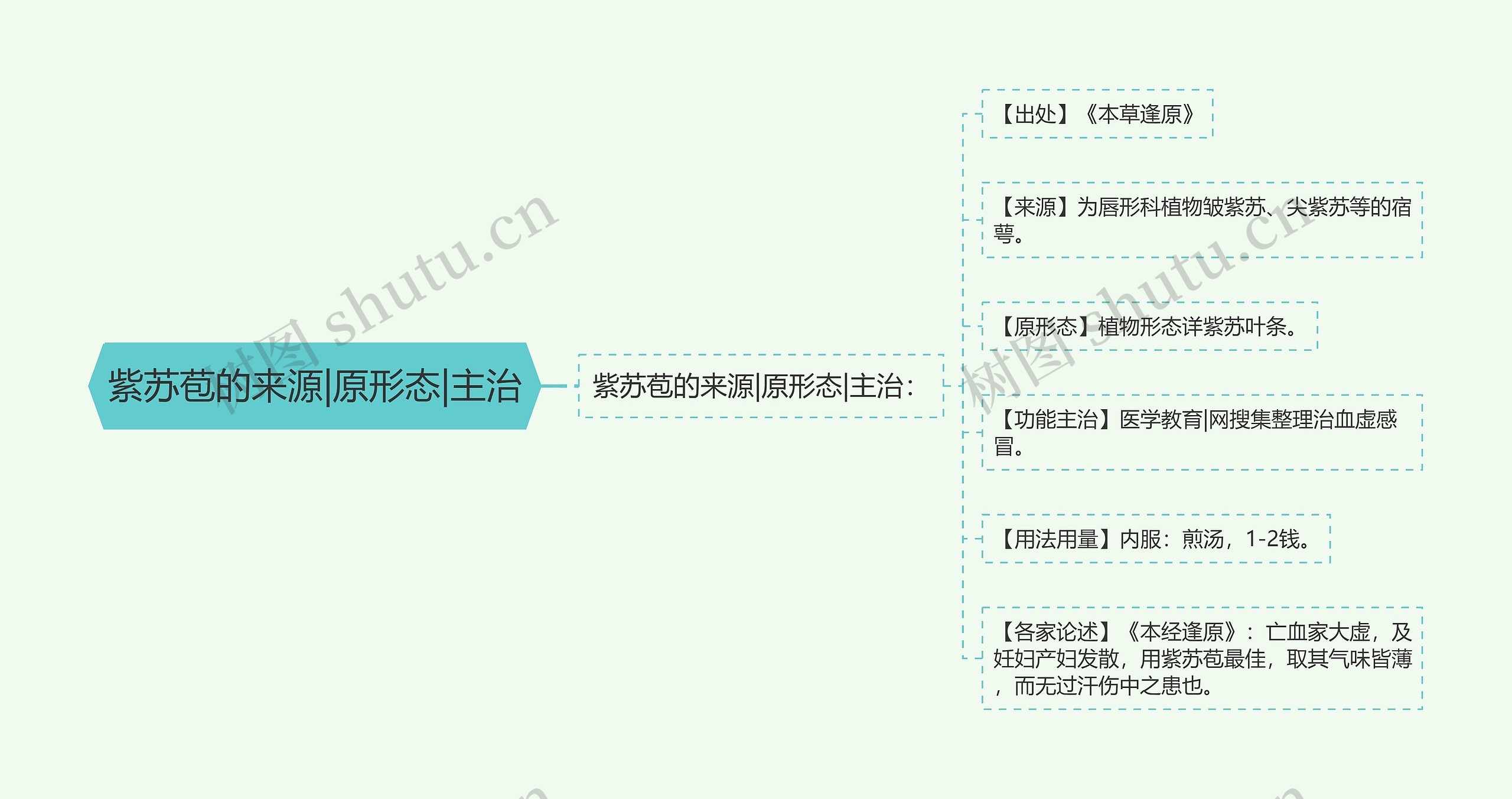 紫苏苞的来源|原形态|主治
