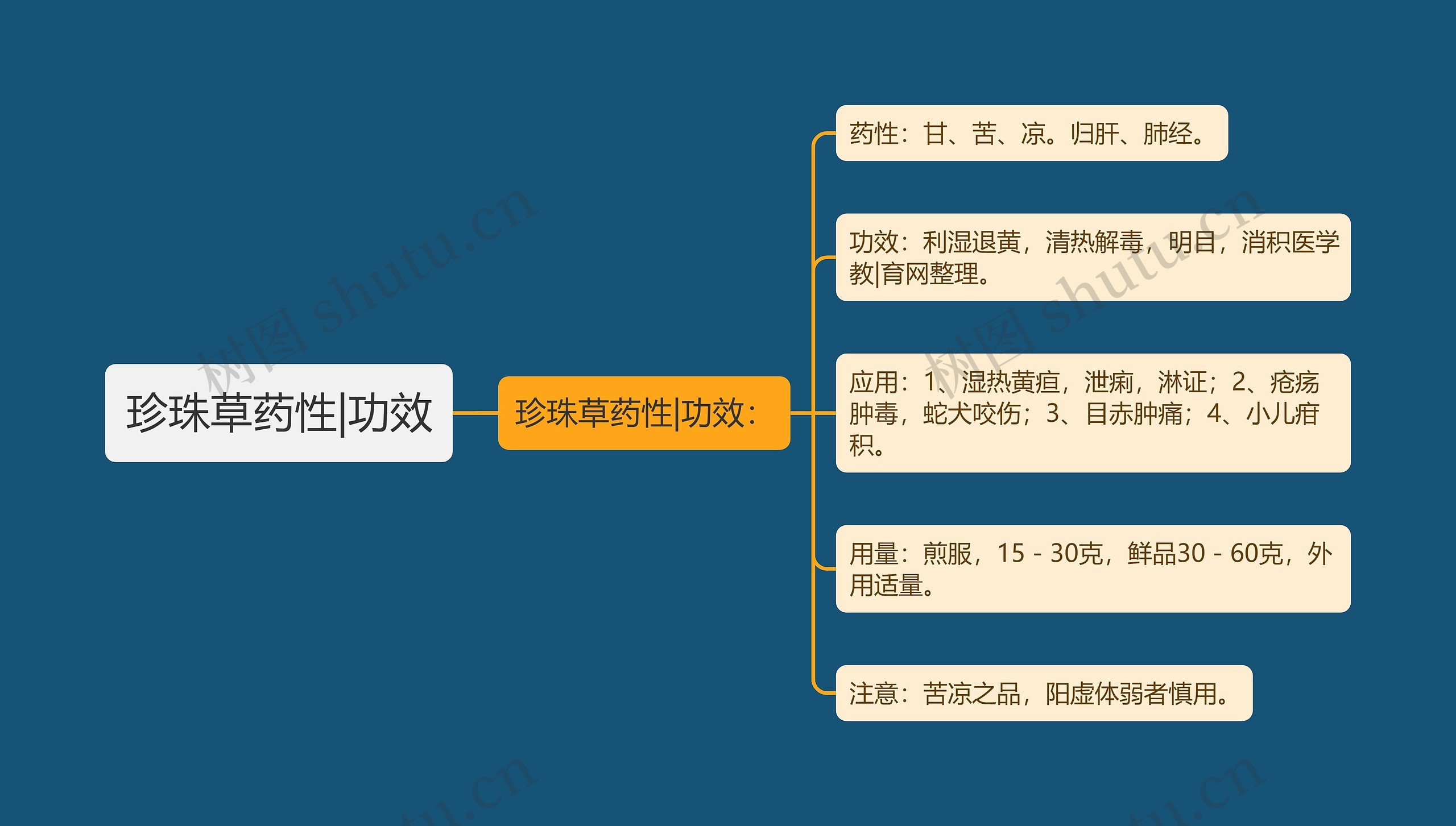 珍珠草药性|功效 珍珠草药性|功效