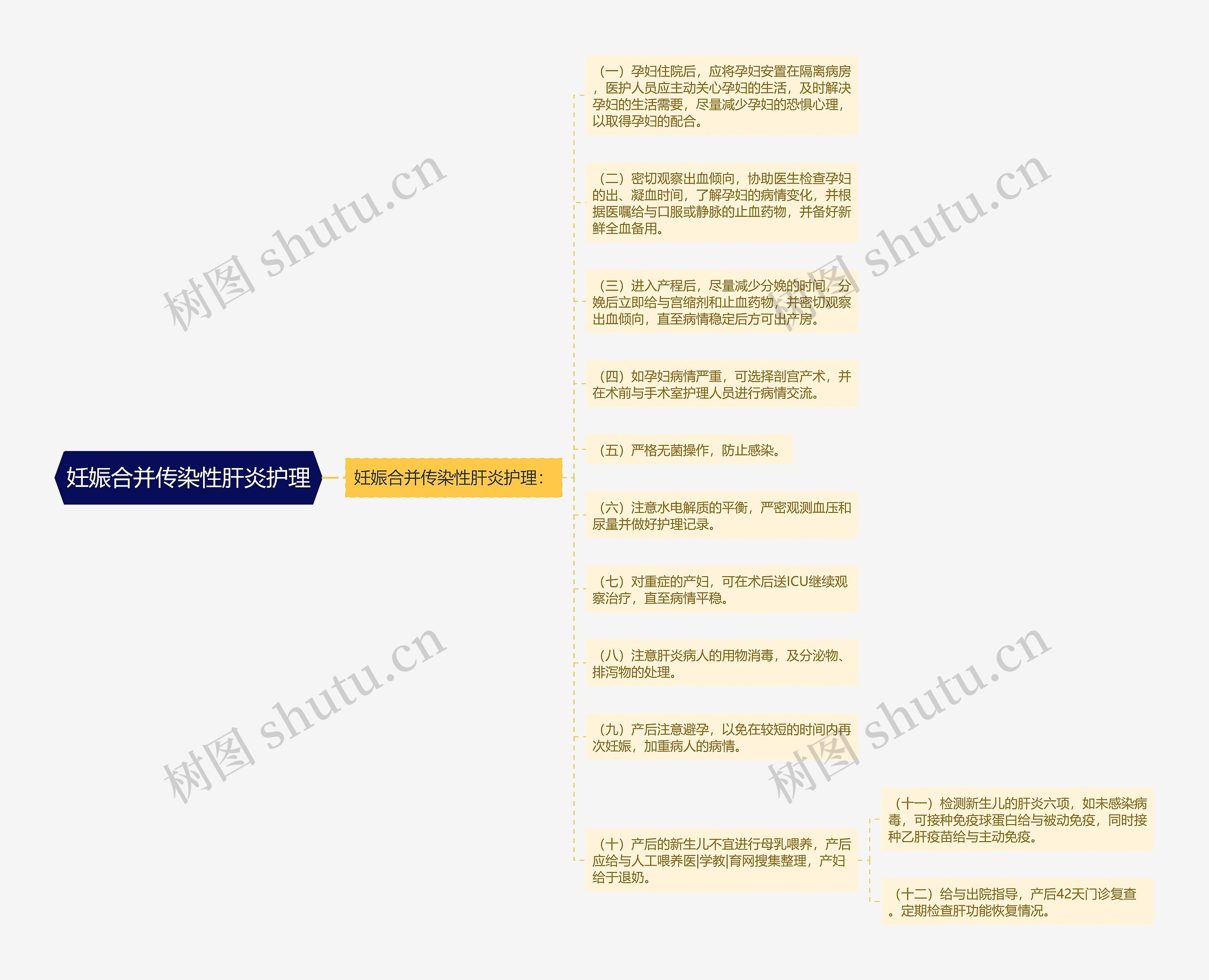 妊娠合并传染性肝炎护理思维导图