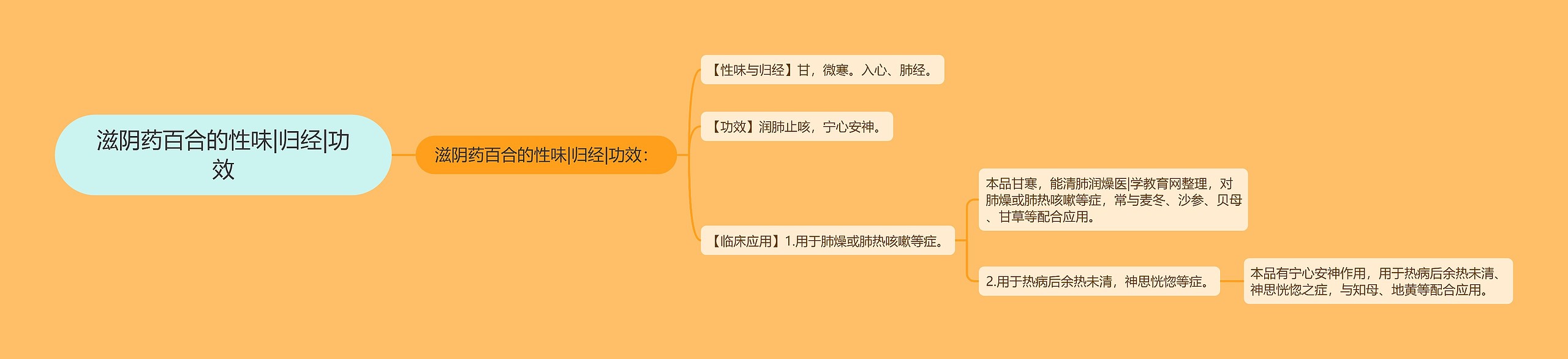 滋阴药百合的性味|归经|功效思维导图