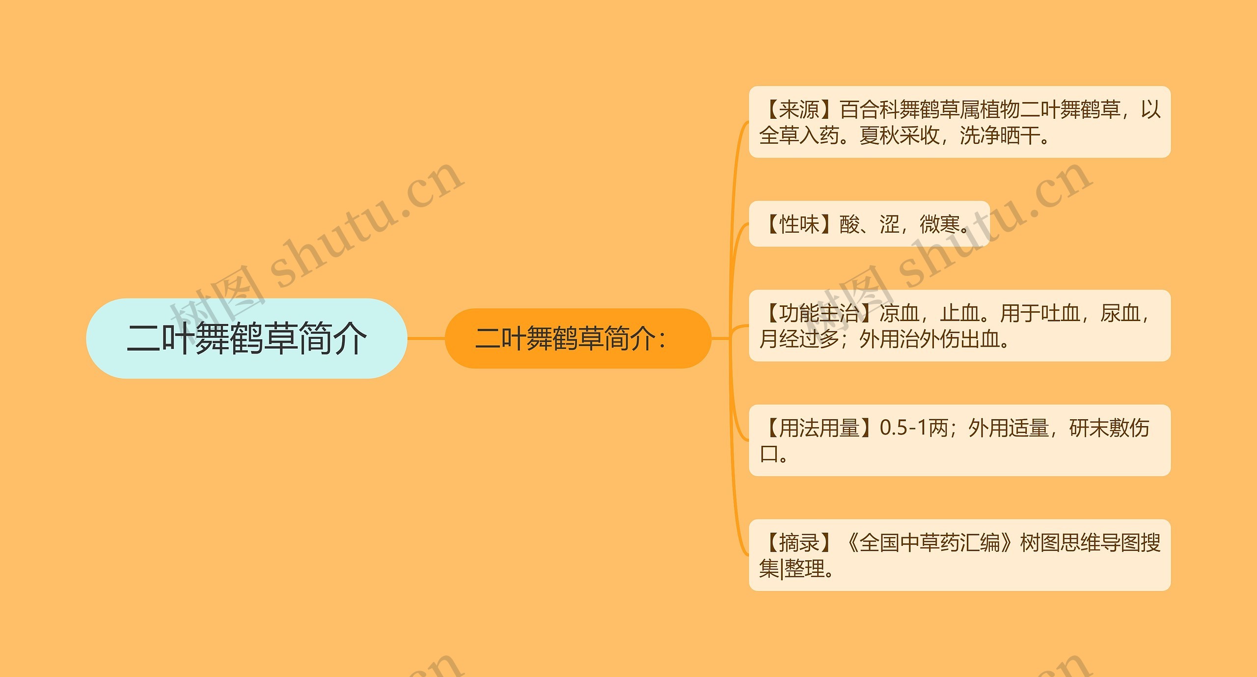 二叶舞鹤草简介