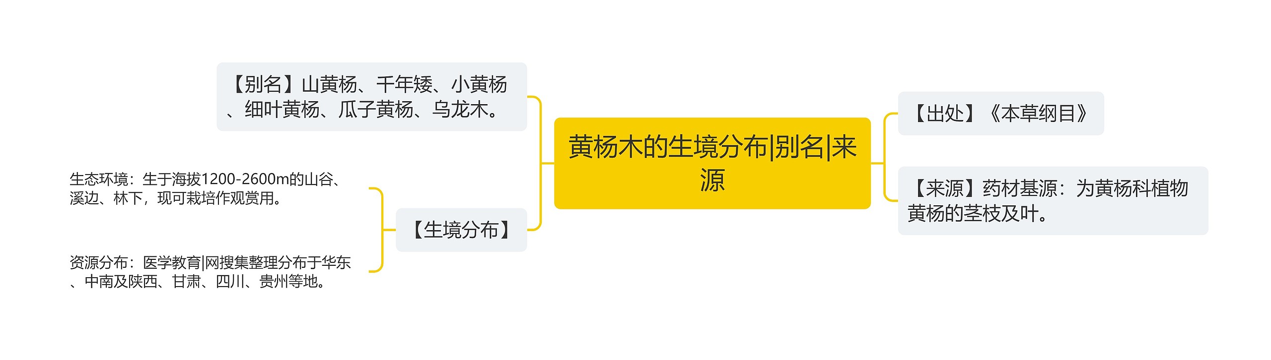 黄杨木的生境分布|别名|来源思维导图