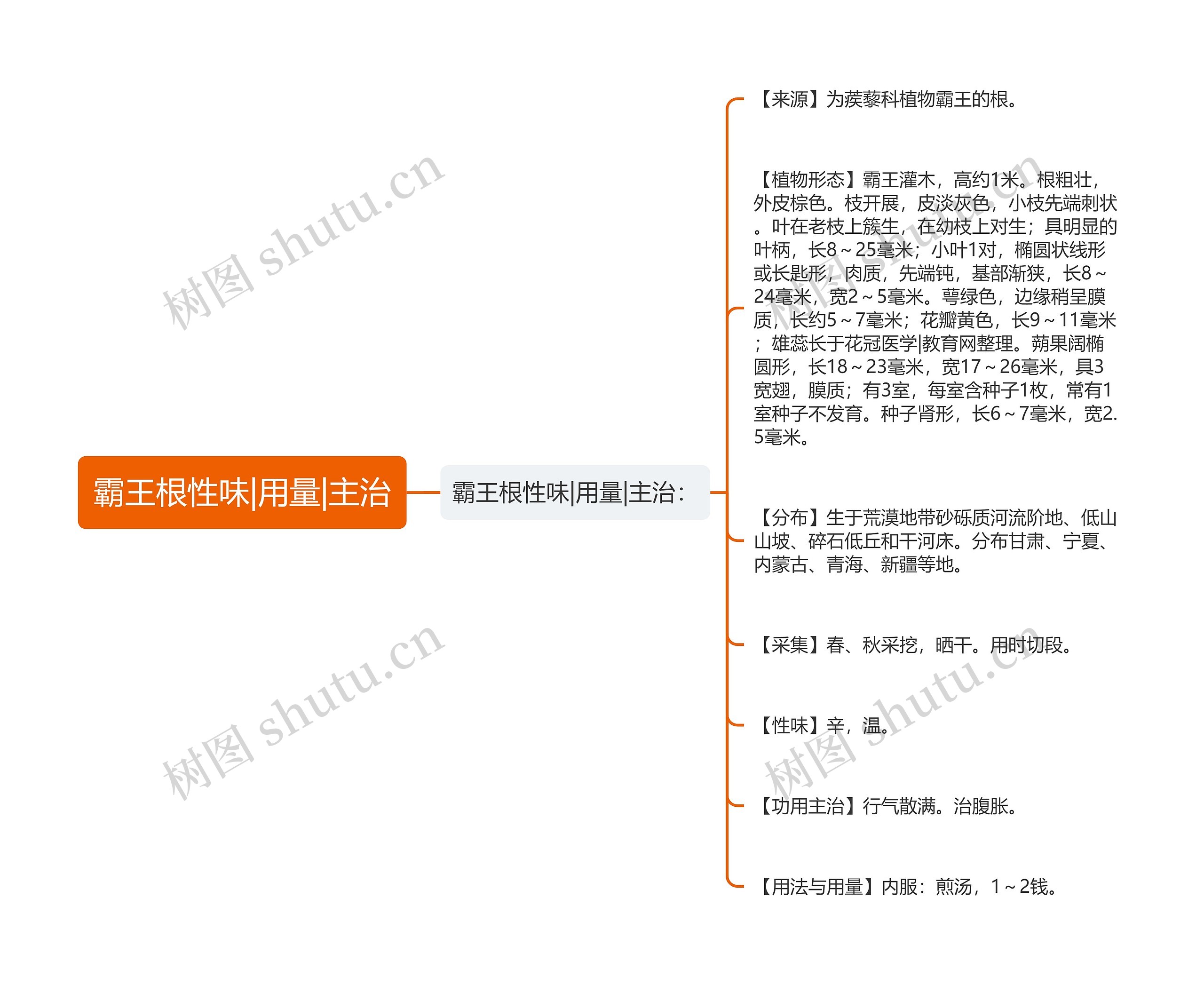 霸王根性味|用量|主治思维导图