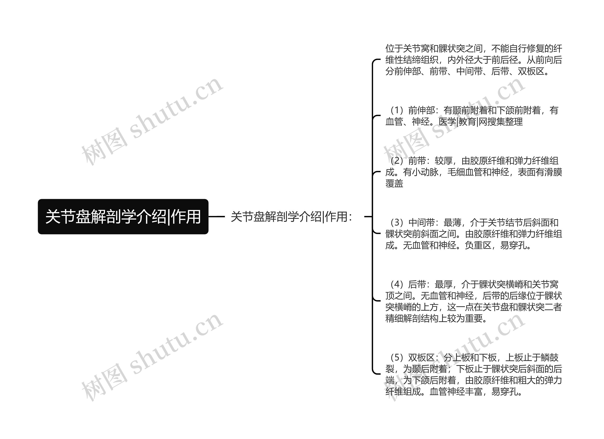 关节盘解剖学介绍|作用 关节盘解剖学介绍|作用