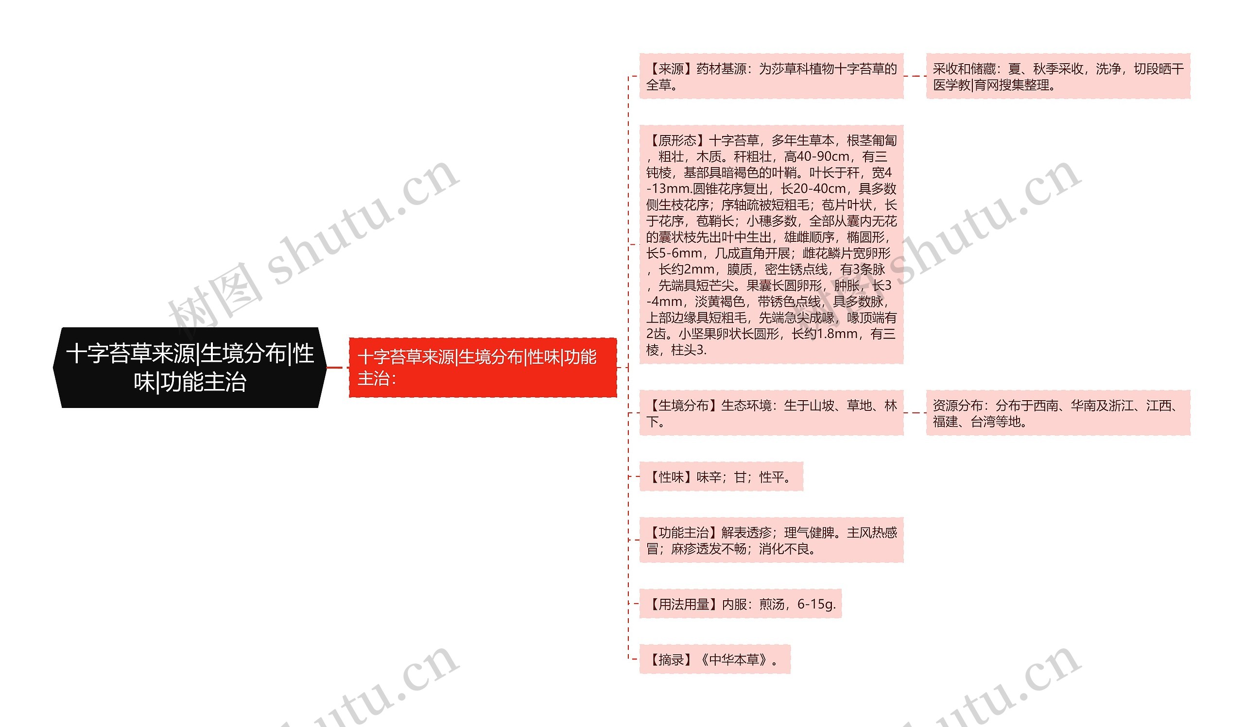 十字苔草来源|生境分布|性味|功能主治