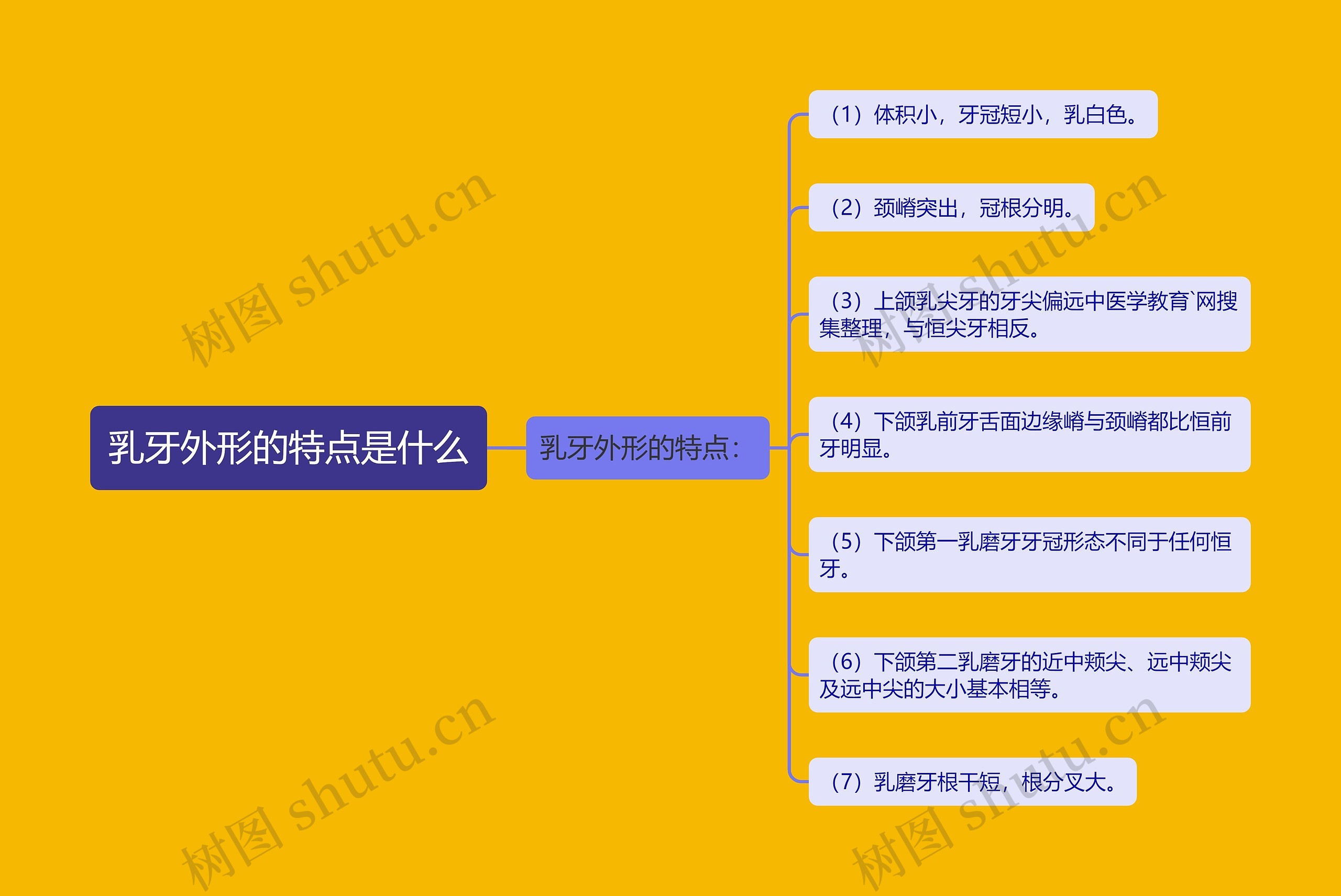 乳牙外形的特点是什么 乳牙外形的特点是什么