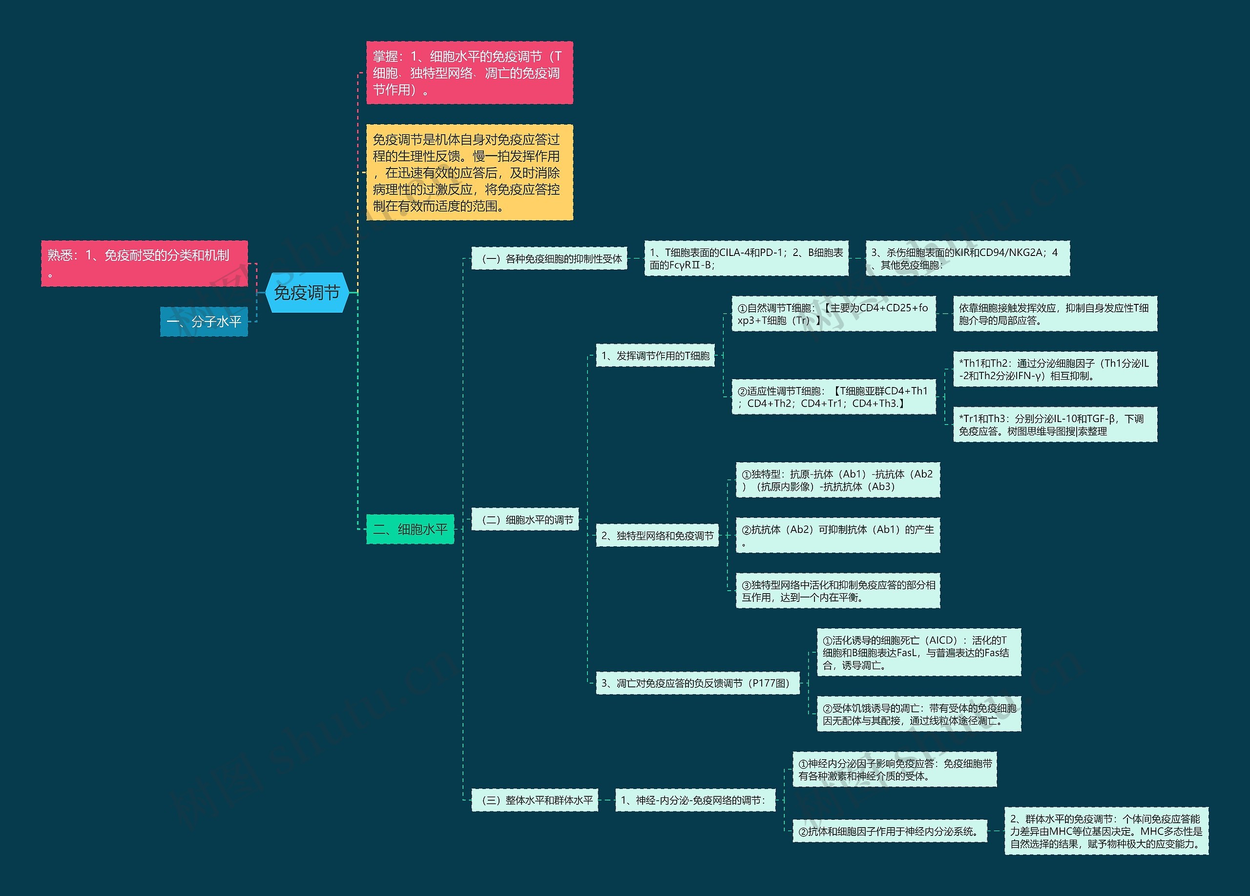 免疫调节思维导图