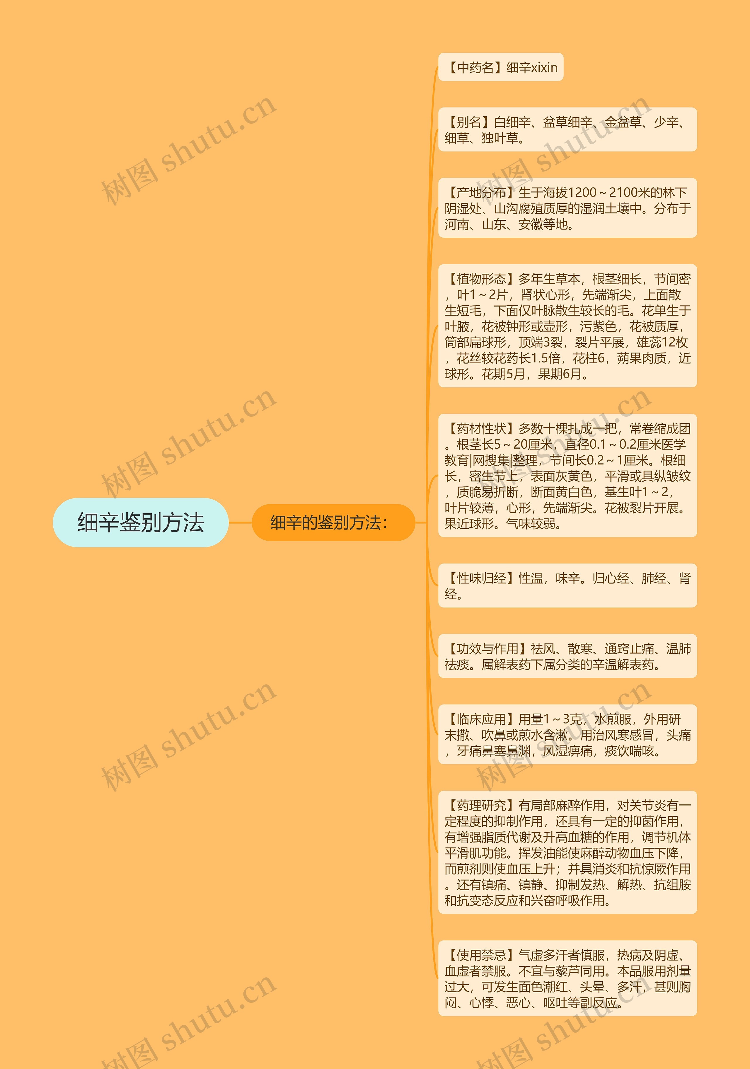 细辛鉴别方法思维导图