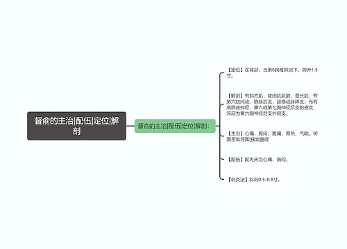 督俞的主治|配伍|定位|解剖