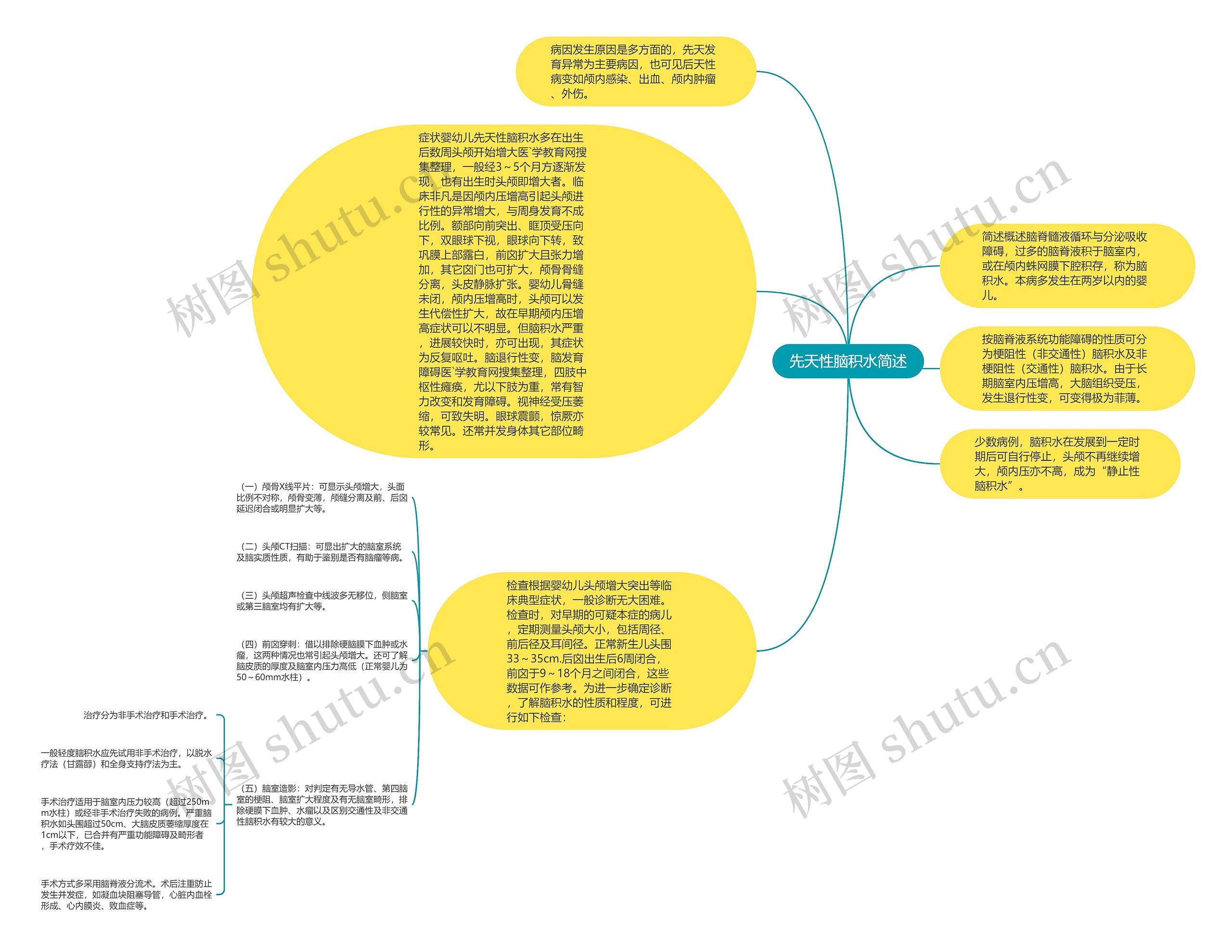 先天性脑积水简述思维导图