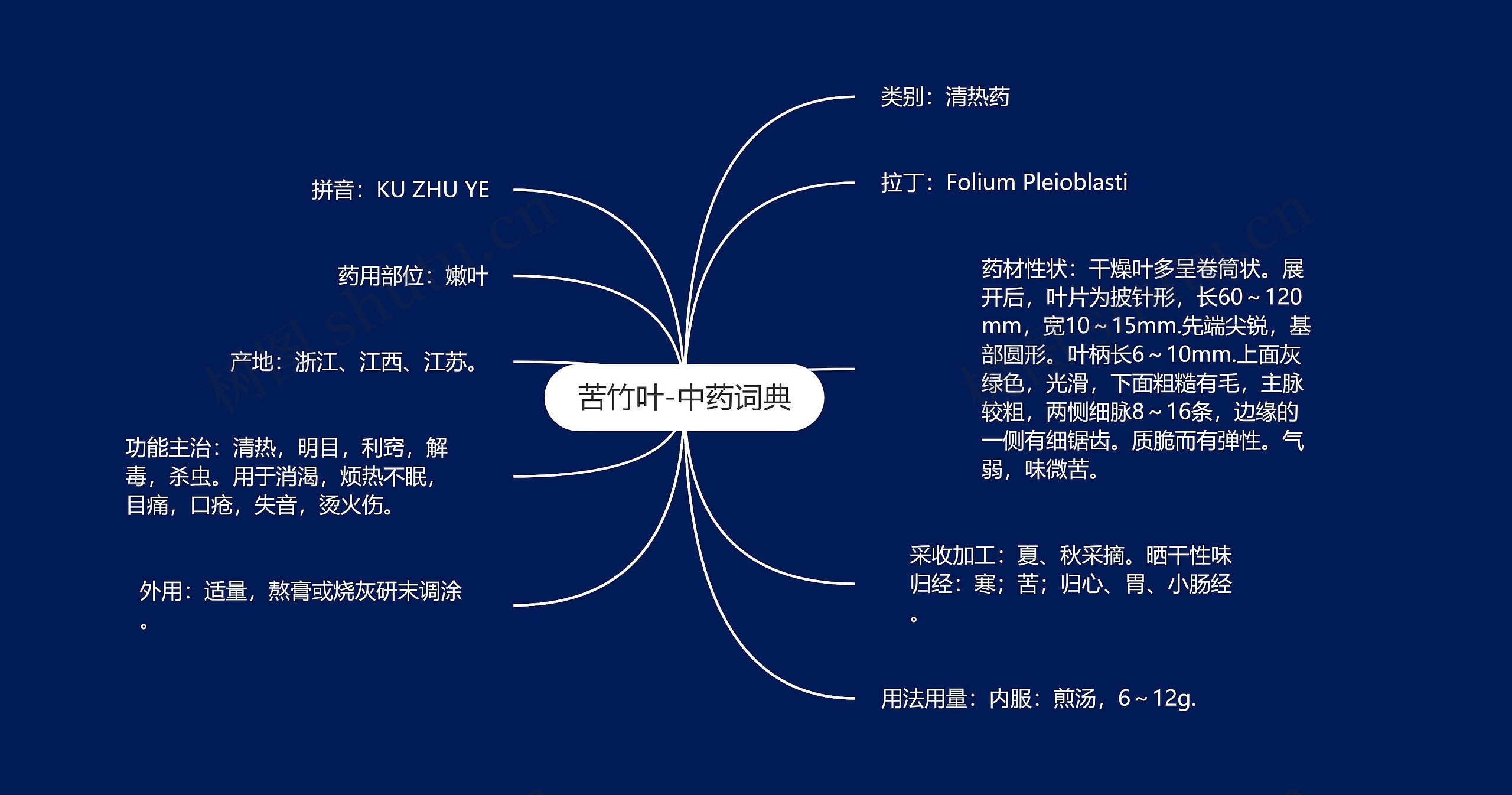 苦竹叶-中药词典 苦竹叶-中药词典