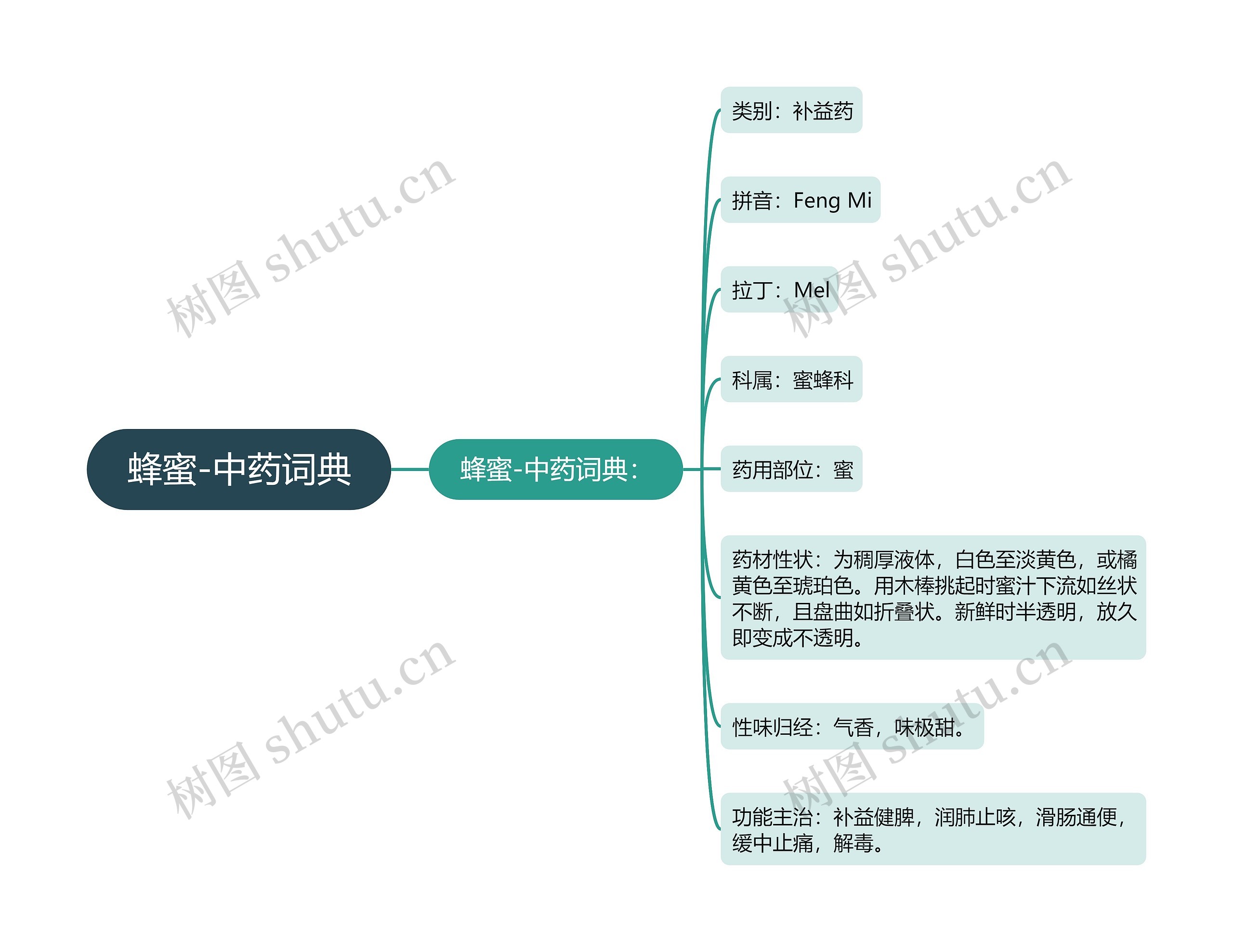 蜂蜜-中药词典思维导图