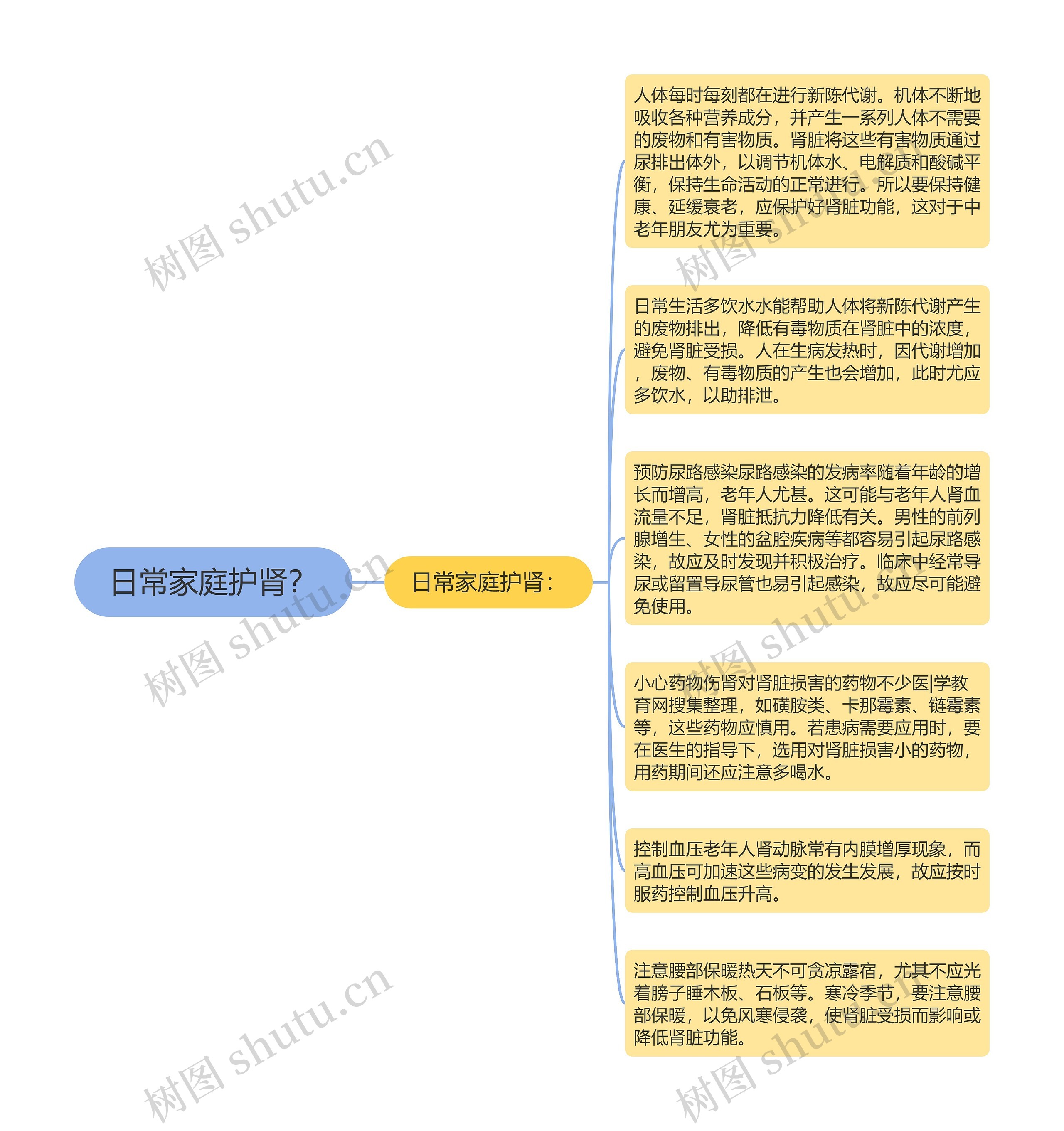 日常家庭护肾？