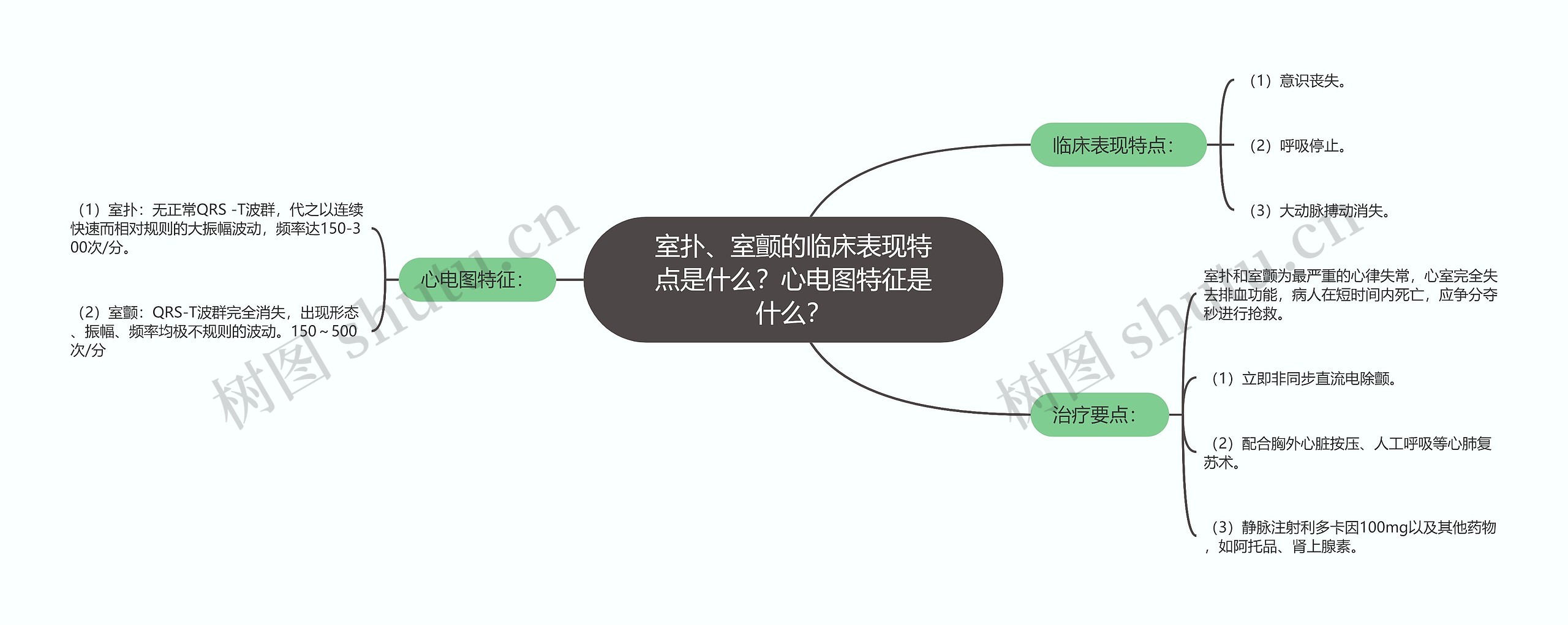 室扑、室颤的临床表现特点是什么？心电图特征是什么？