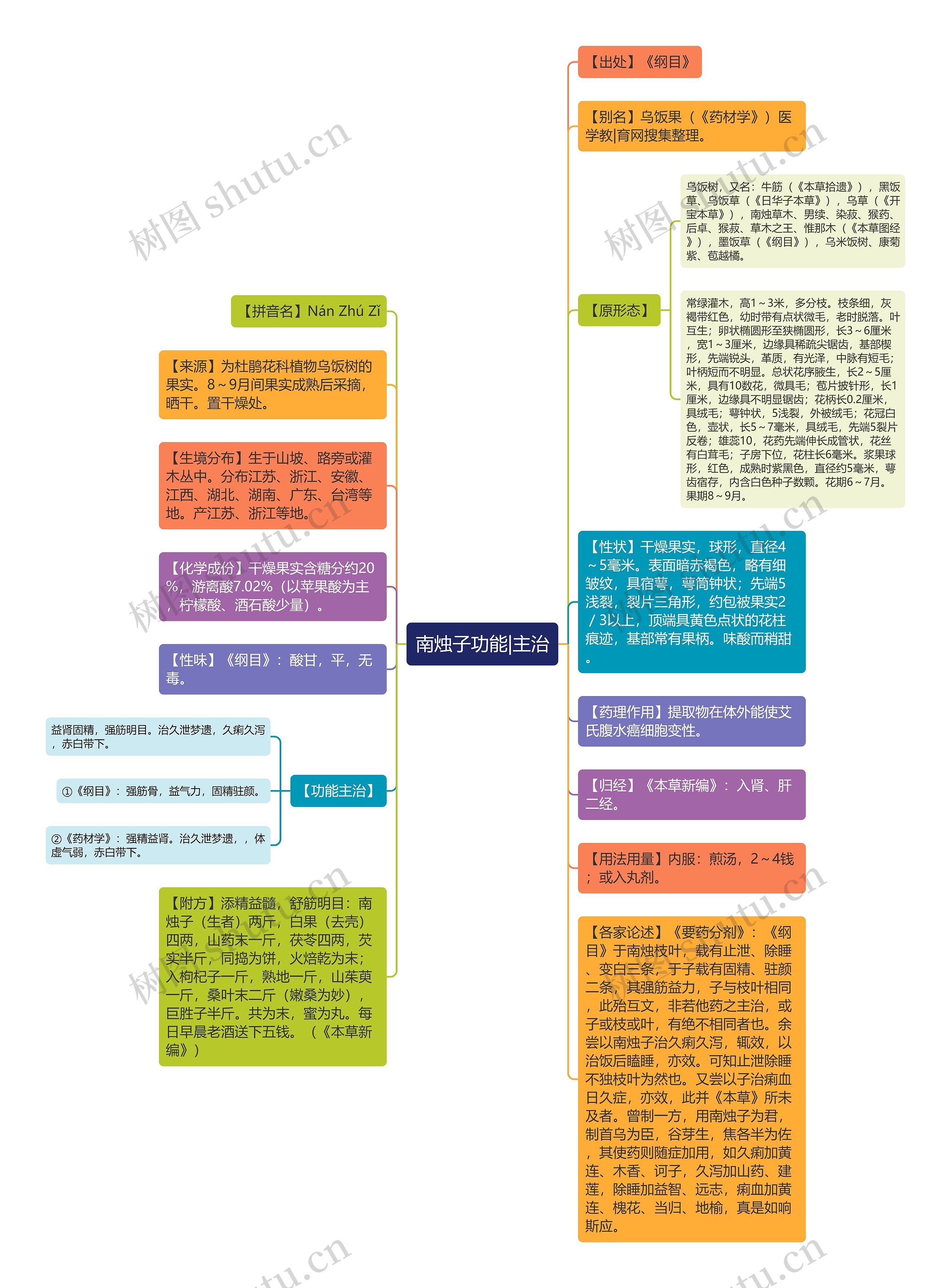 南烛子功能|主治思维导图