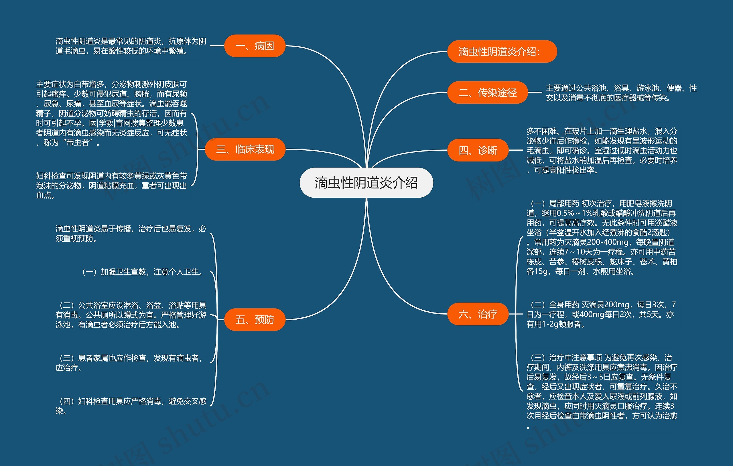 滴虫性阴道炎介绍思维导图