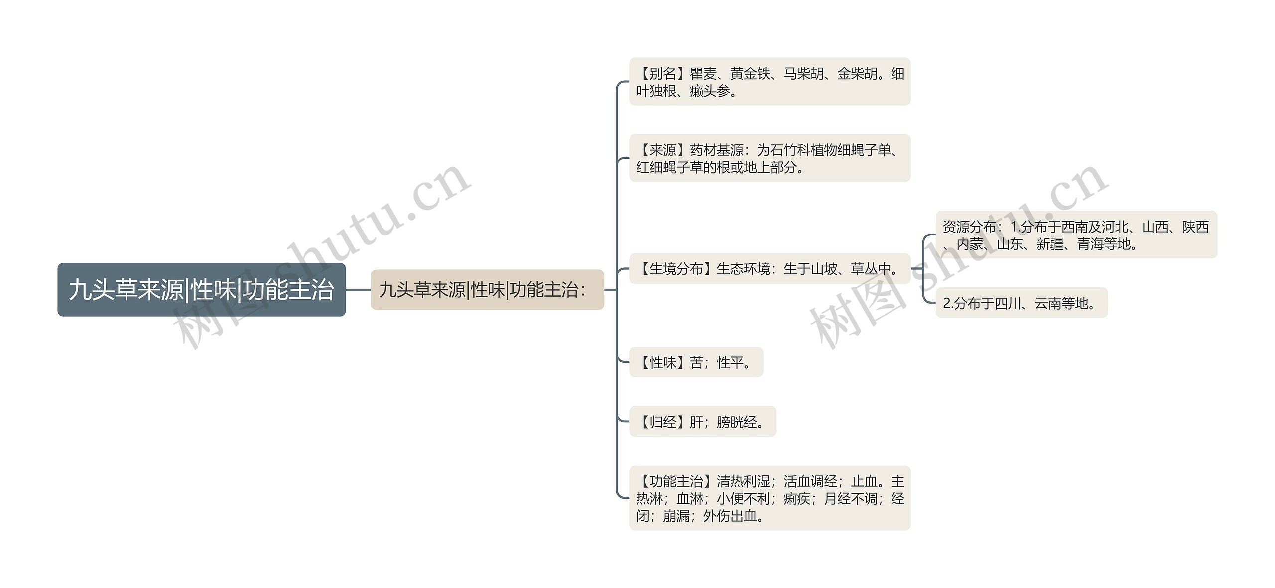 九头草来源|性味|功能主治