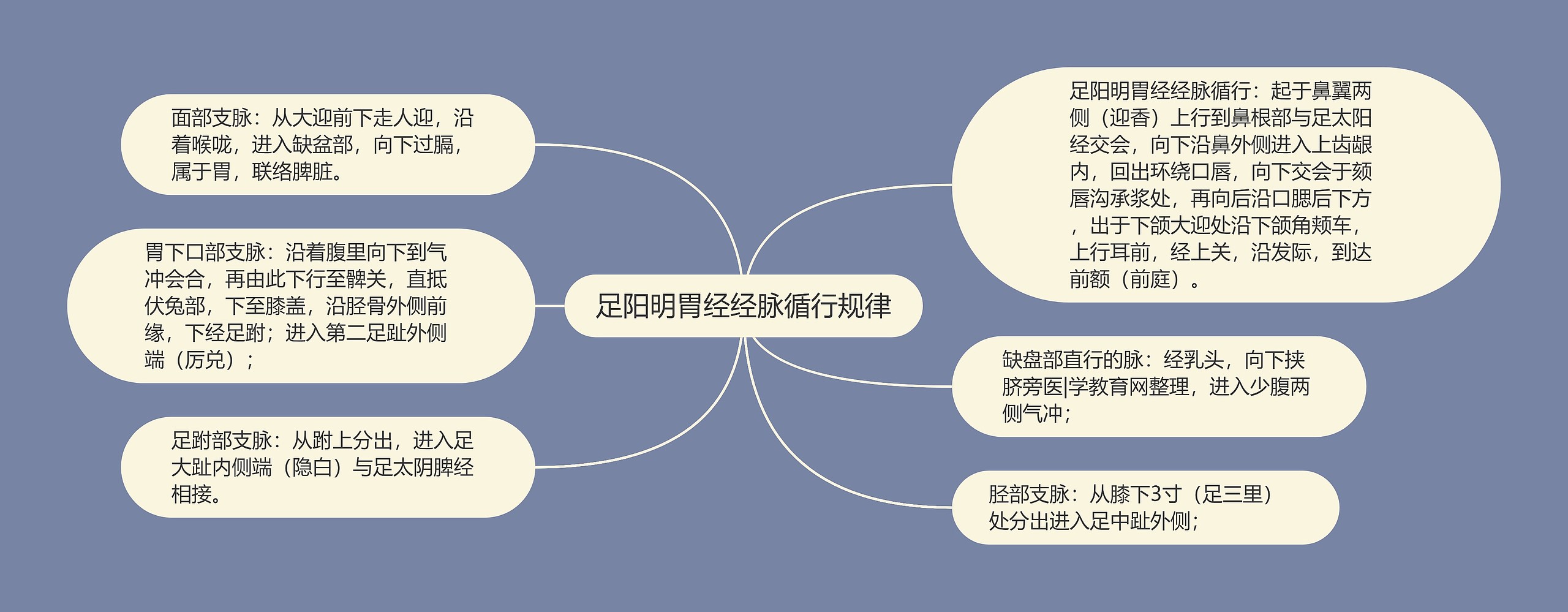 足阳明胃经经脉循行规律思维导图