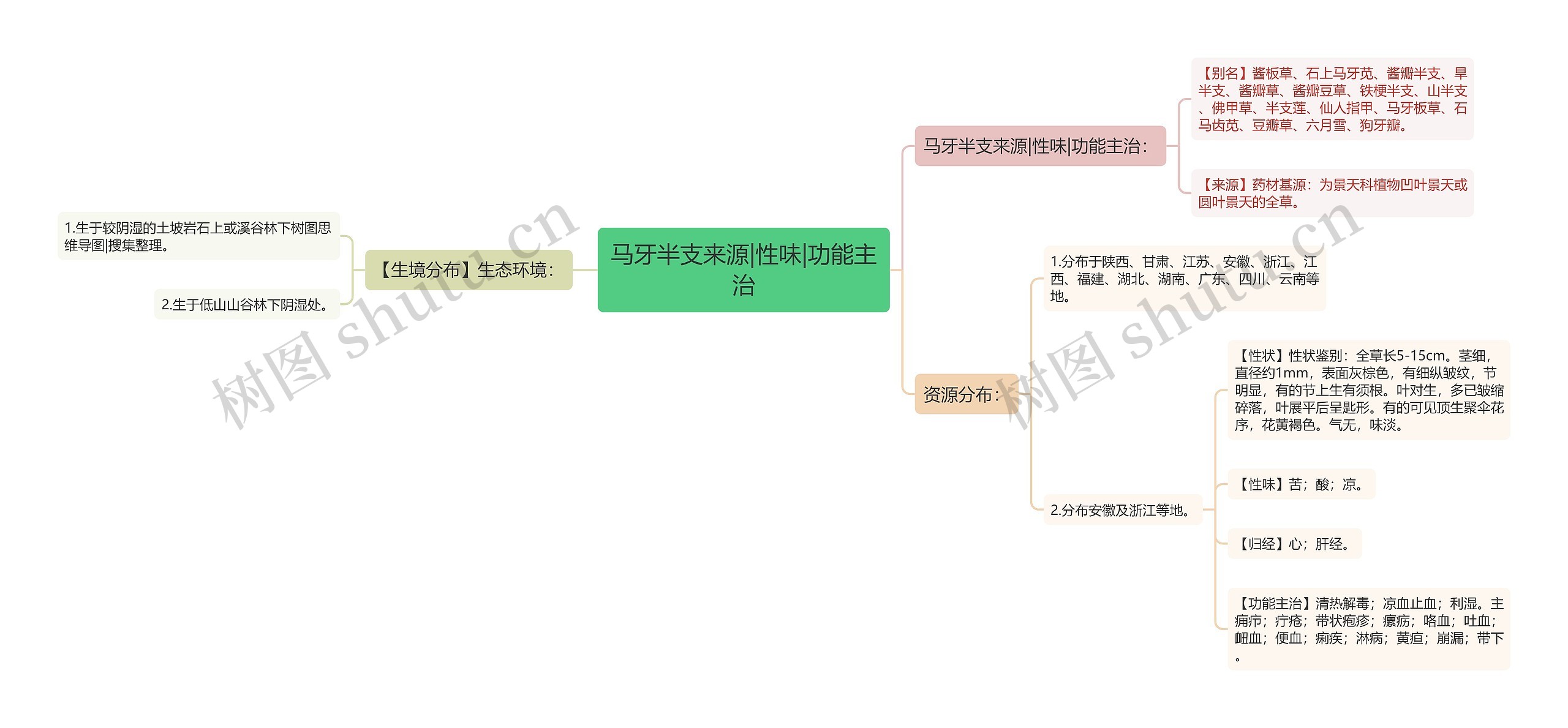 马牙半支来源|性味|功能主治思维导图