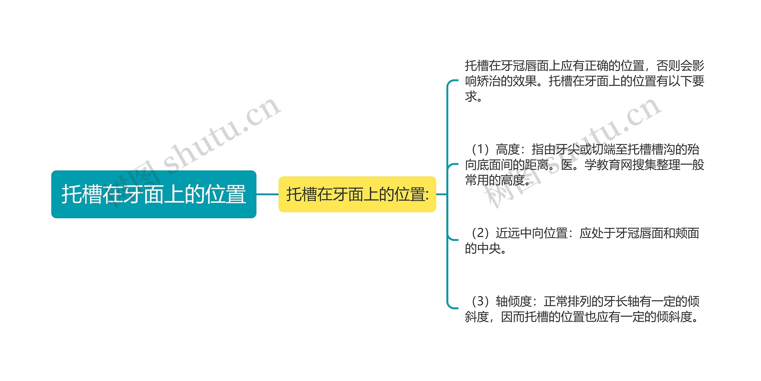 托槽在牙面上的位置 托槽在牙面上的位置