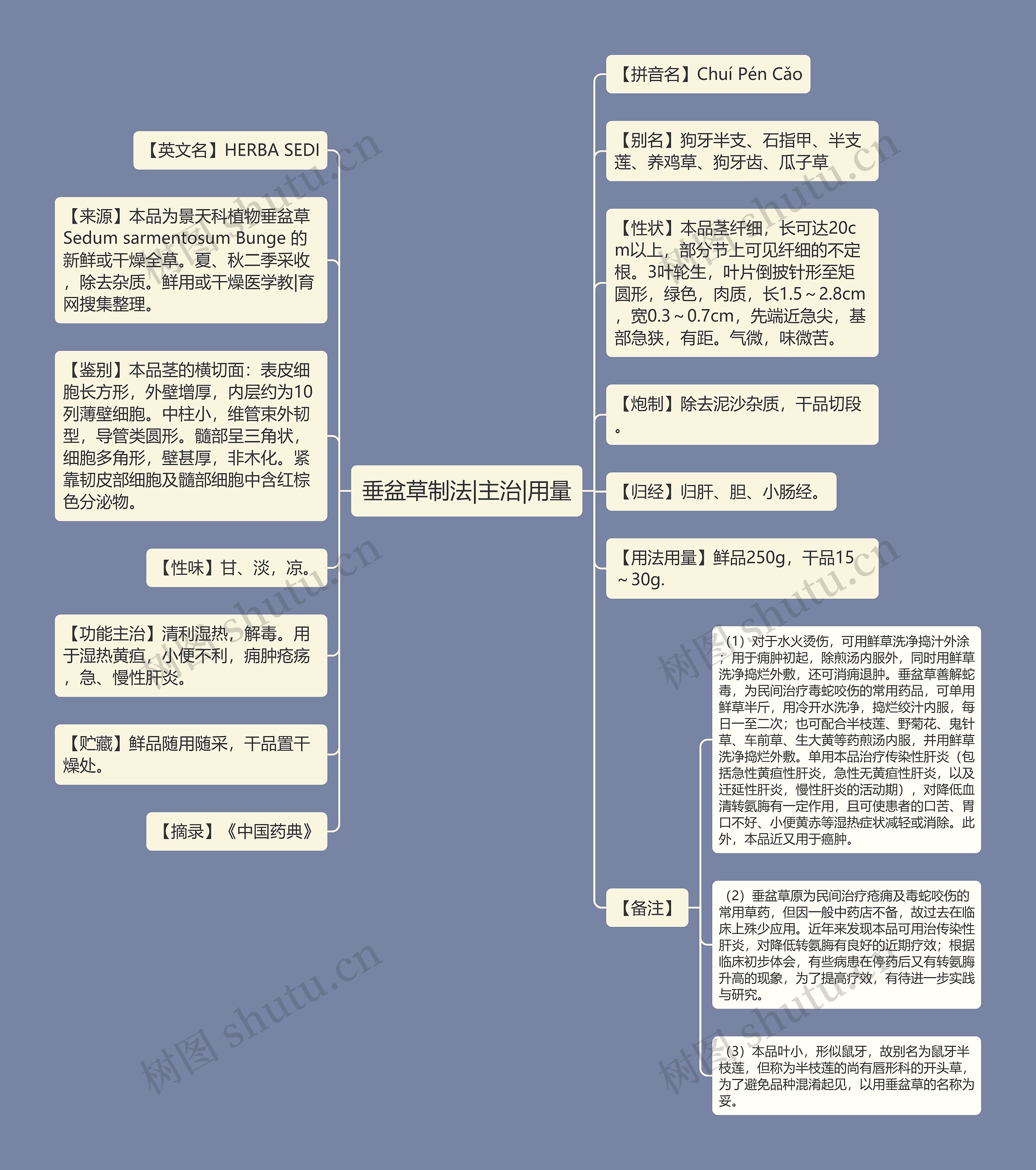 垂盆草制法|主治|用量思维导图