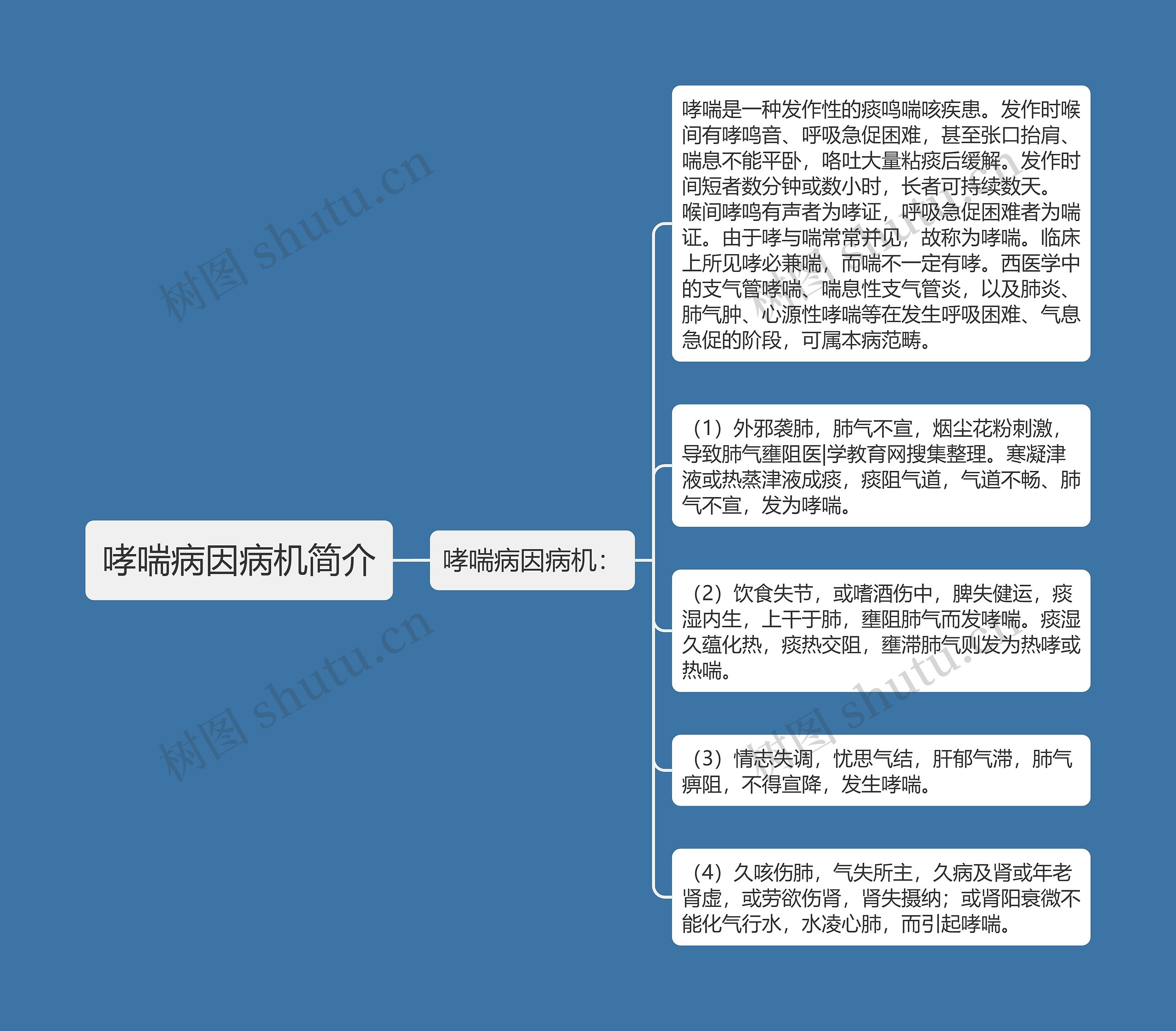 哮喘病因病机简介