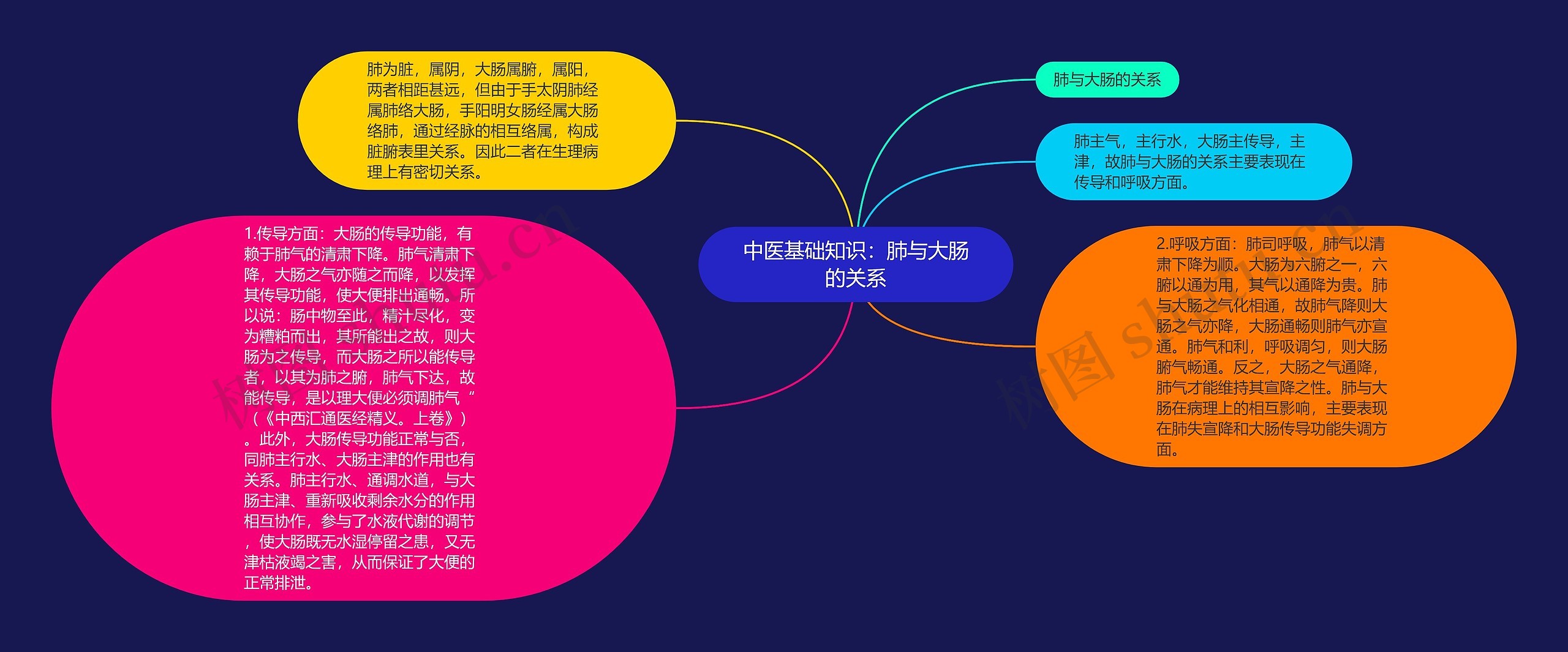 中医基础知识：肺与大肠的关系