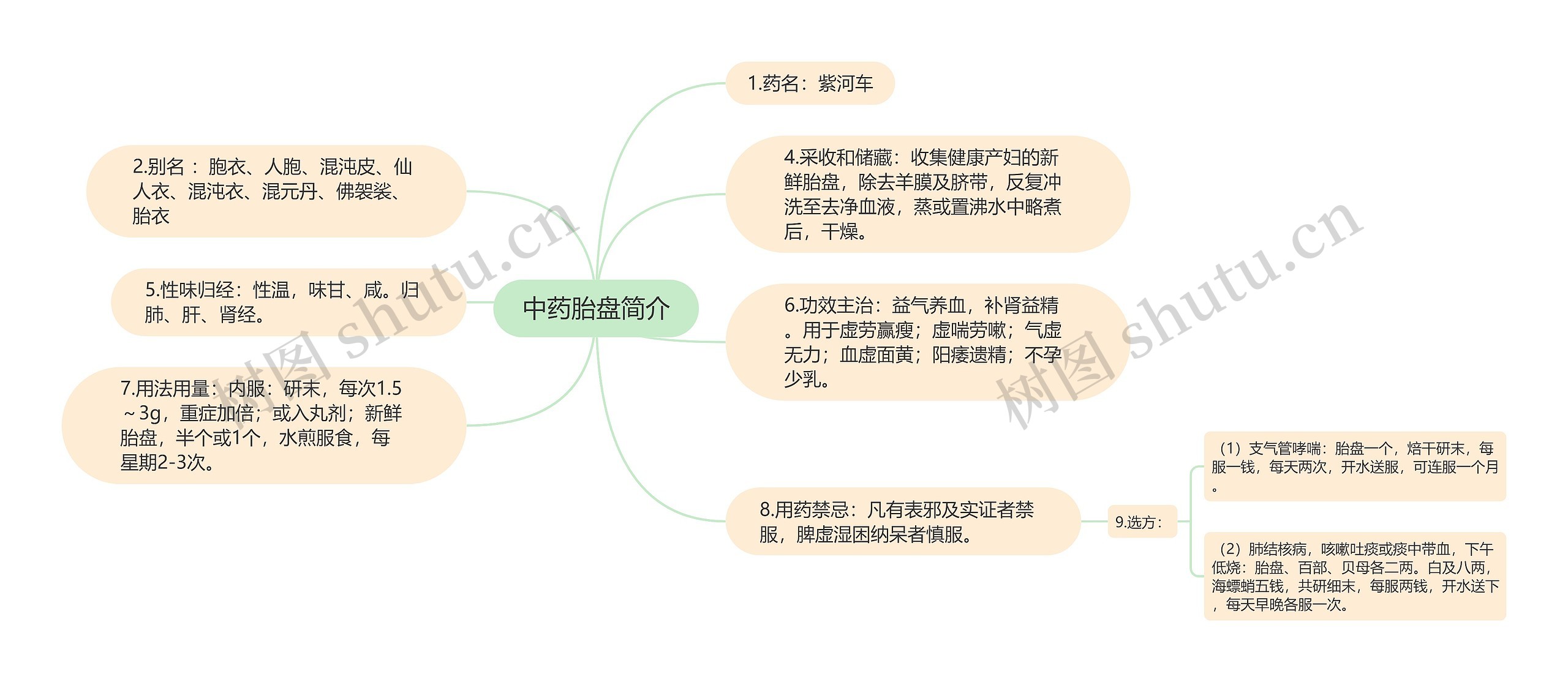 中药胎盘简介思维导图