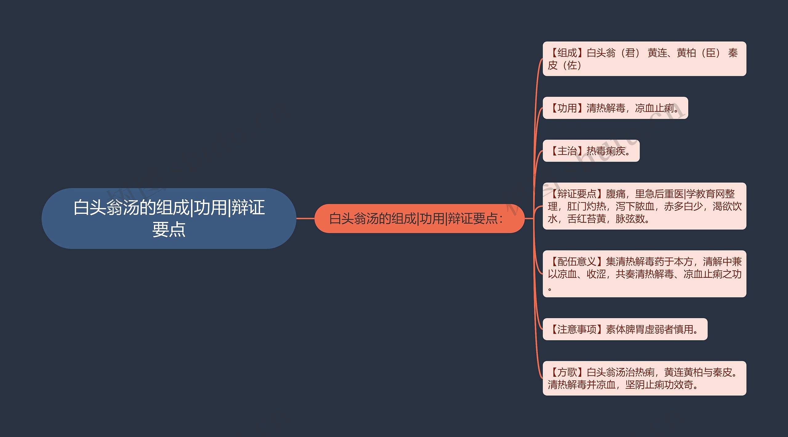 白头翁汤的组成|功用|辩证要点思维导图