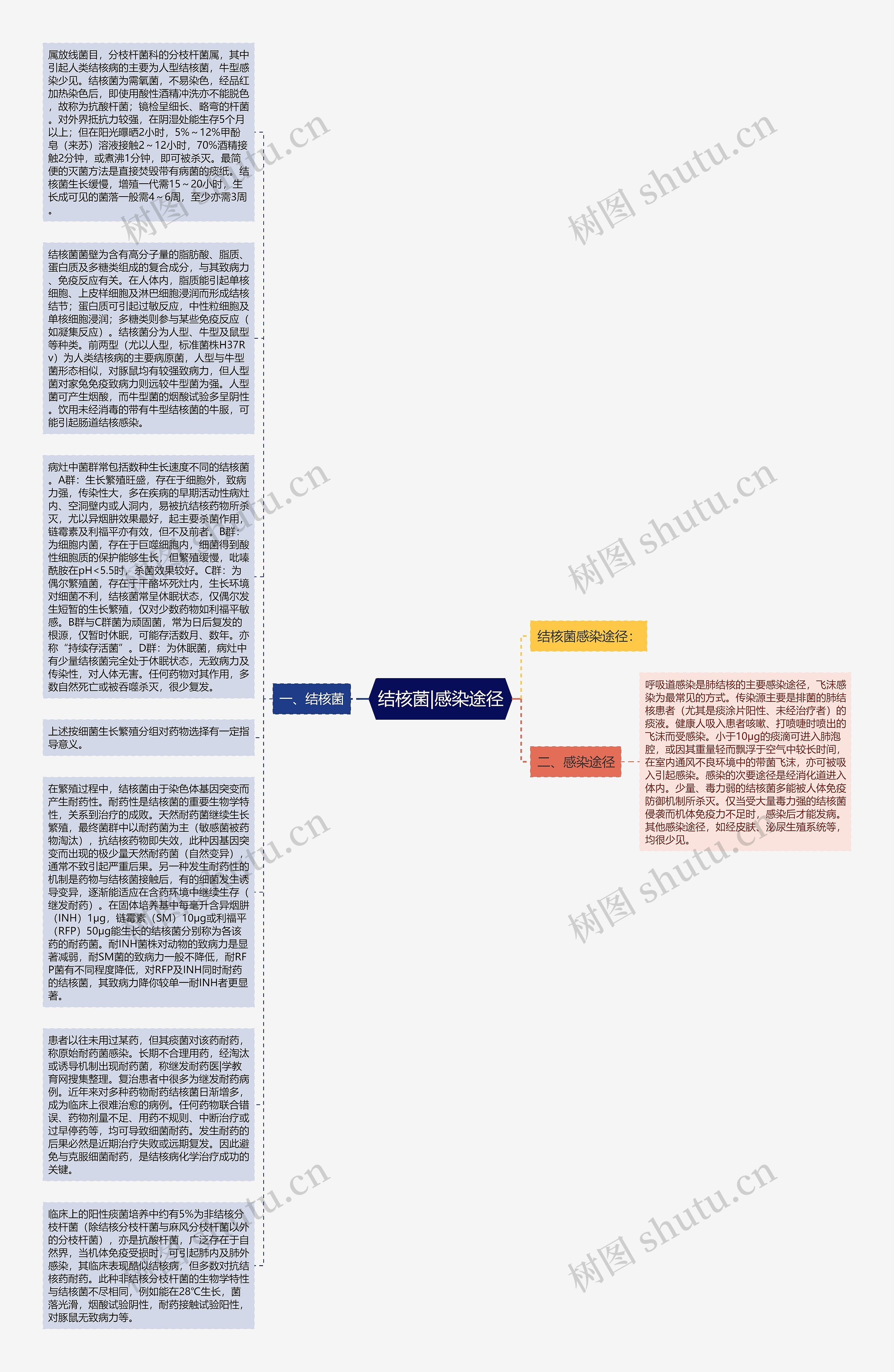 结核菌|感染途径思维导图