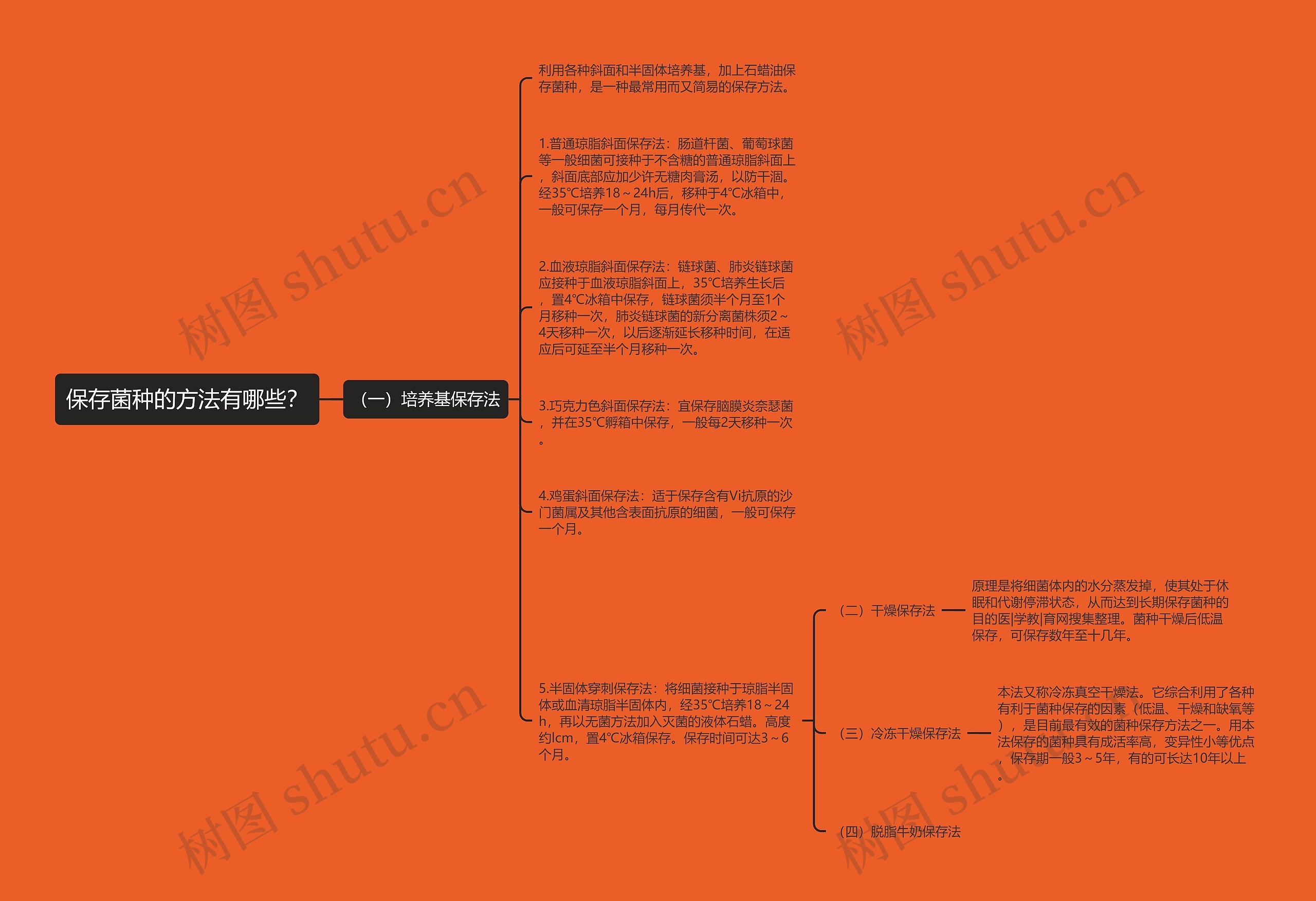 保存菌种的方法有哪些？思维导图