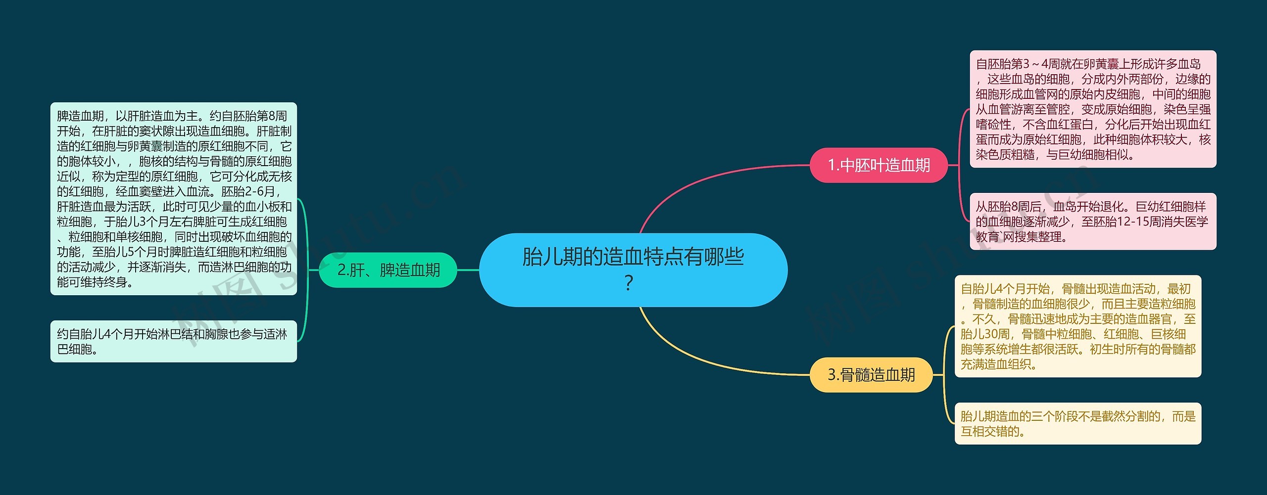 胎儿期的造血特点有哪些? 胎儿期的造血特点有哪些?