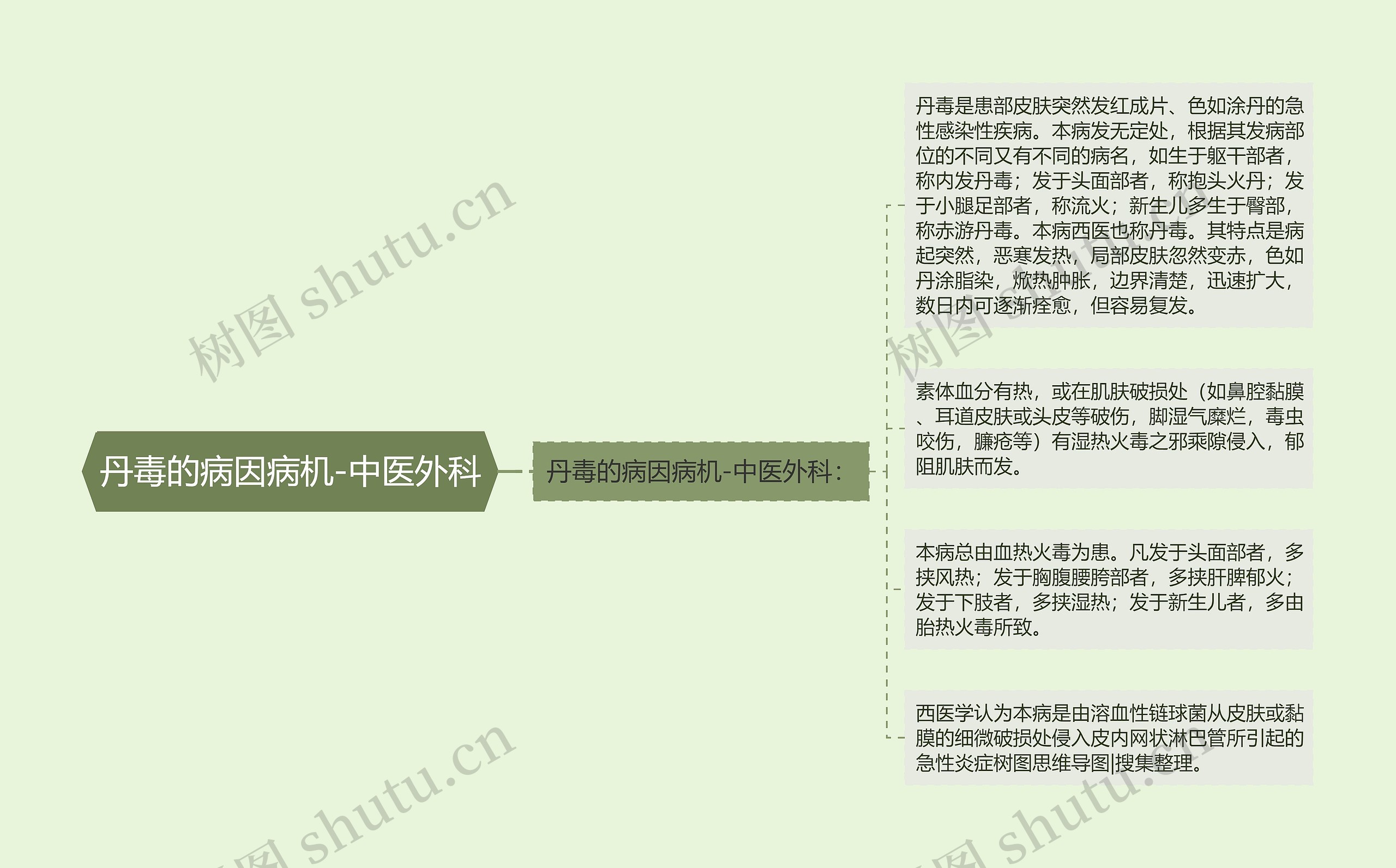 丹毒的病因病机-中医外科思维导图