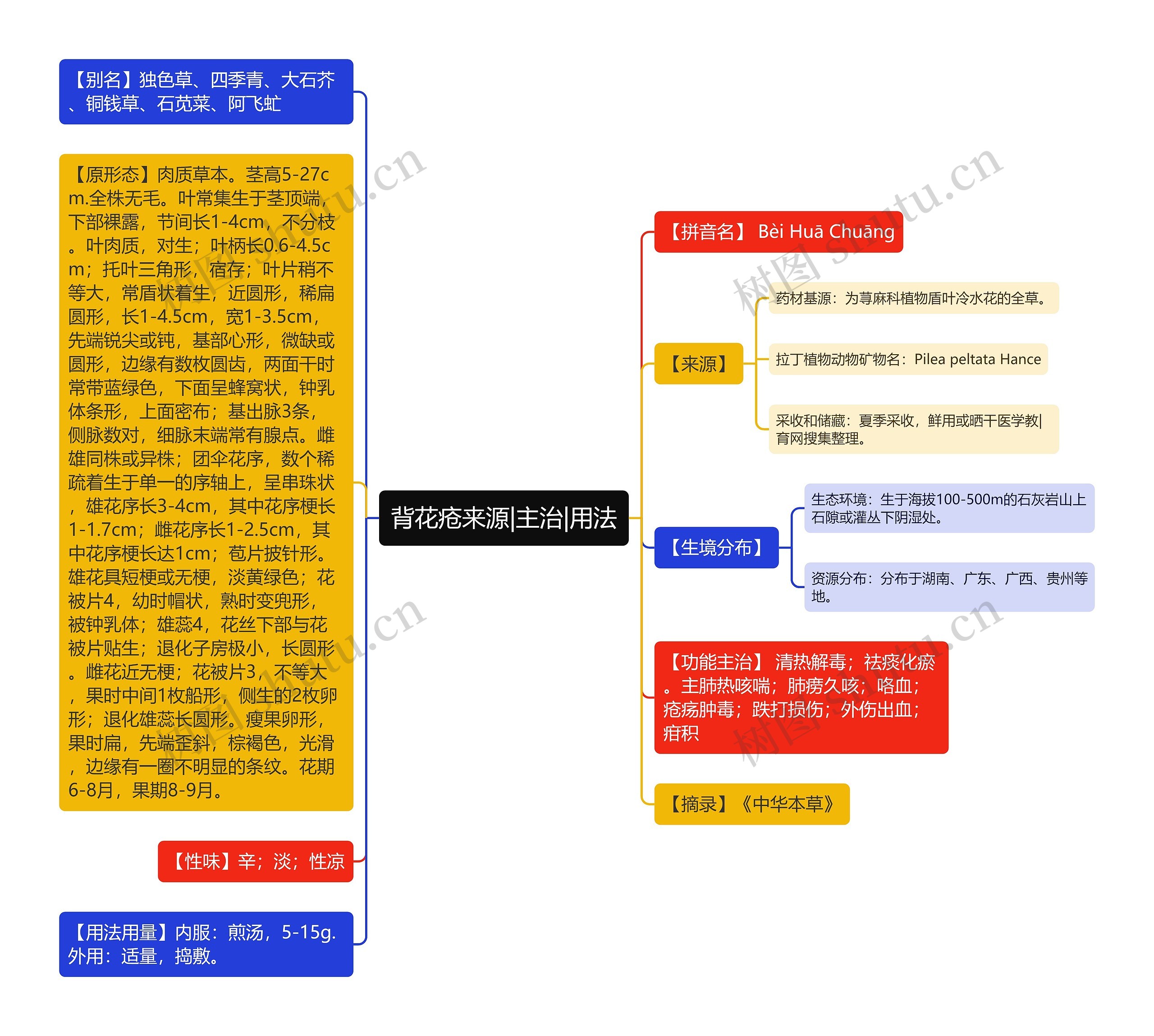 背花疮来源|主治|用法思维导图