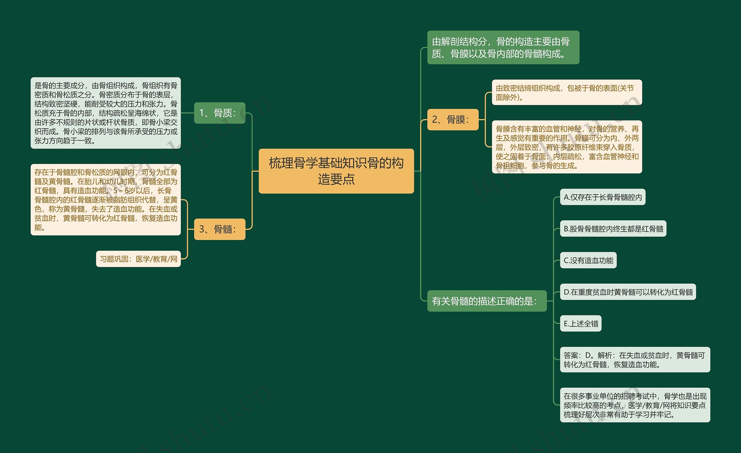 梳理骨学基础知识骨的构造要点 梳理骨学基础知识骨的构造要点