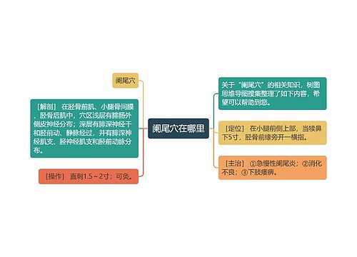 阑尾穴在哪里