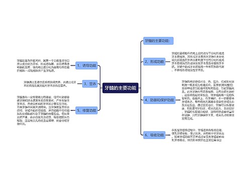 牙髓的主要功能