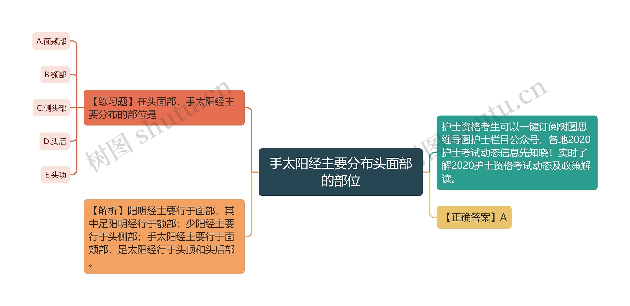 手太阳经主要分布头面部的部位