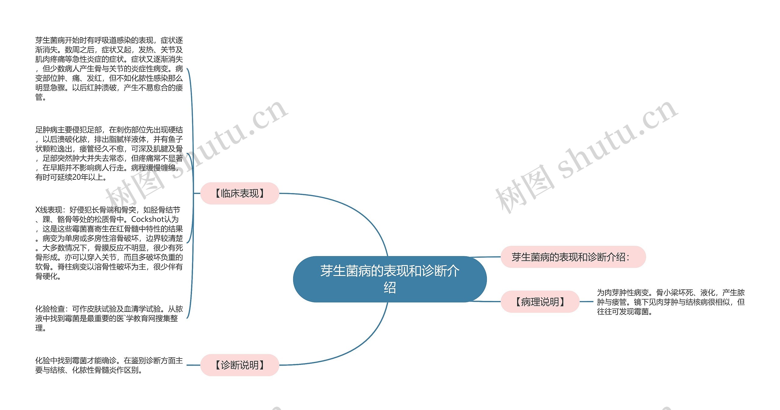 芽生菌病的表现和诊断介绍思维导图